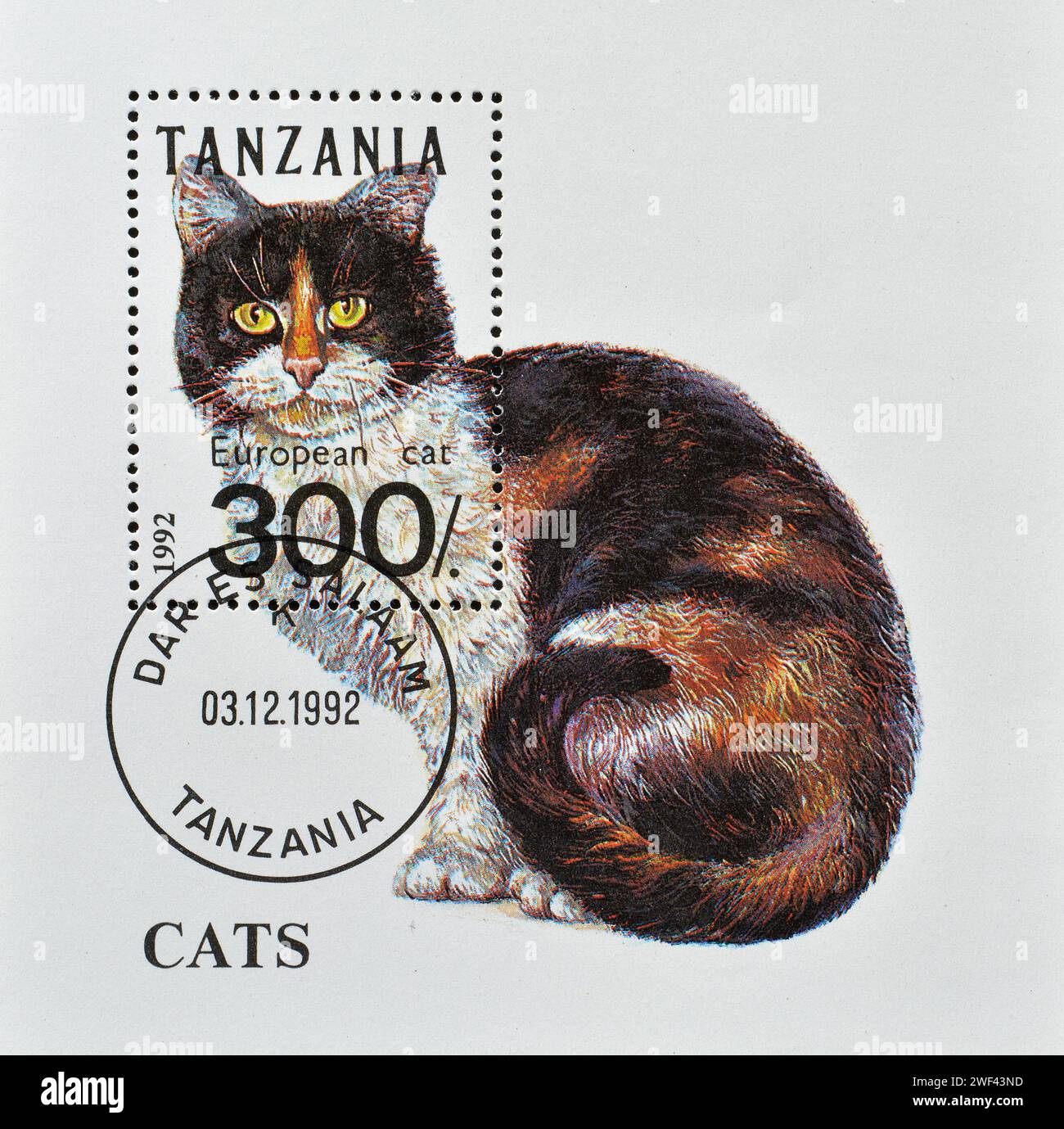 Foglio ricordo con francobollo annullato stampato dalla Tanzania, che mostra il gatto europeo, circa 1992. Foto Stock