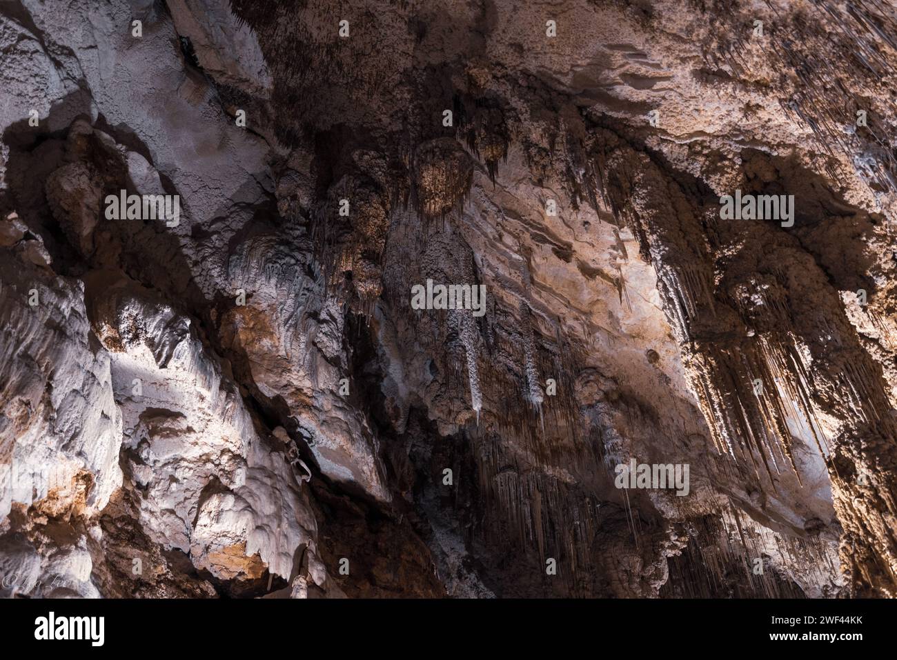 Esplora la Grotta dei cristalli e della fantasia delle Bermuda, dove le meraviglie sotterranee e le formazioni ricoperte di cristallo creano una meraviglia sotterranea Foto Stock