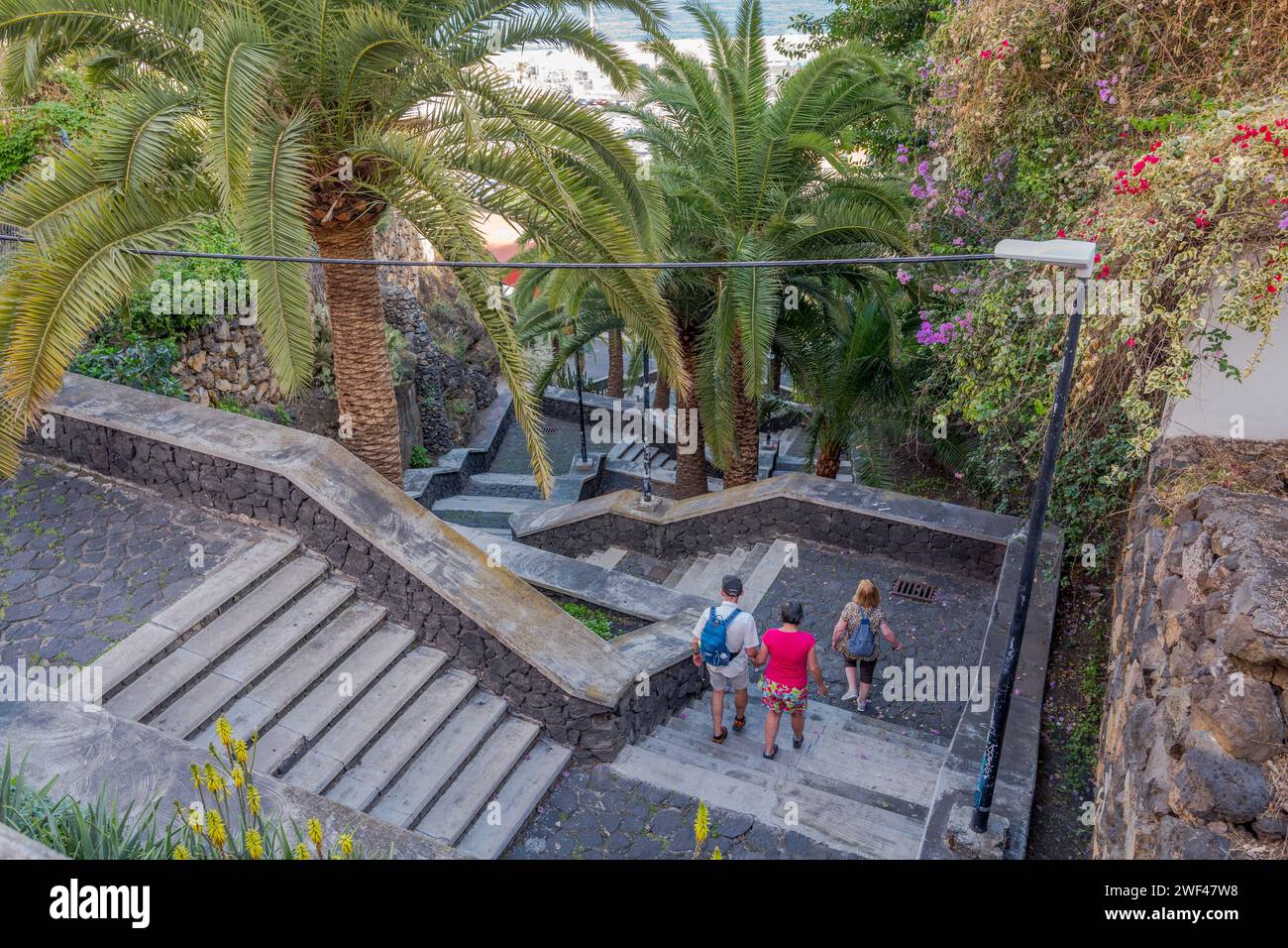 I turisti camminano lungo i gradini di pietra e cemento dell'isola di la Palma, in Spagna, fiancheggiati da palme Foto Stock