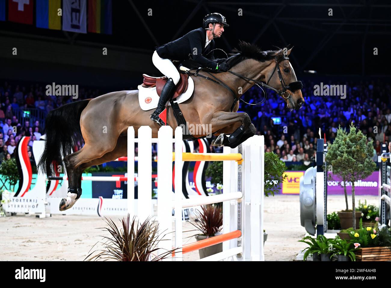 AMSTERDAM - Steve Guerdat su Double Jeu d Honvault durante la Longines FEI Jumping World Cup al torneo Jumping Amsterdam 2024 alla RAI il 28 gennaio 2024 ad Amsterdam, nei Paesi Bassi. ANP | Hollandse Hoogte | GERRIT VAN COLOGNE Foto Stock