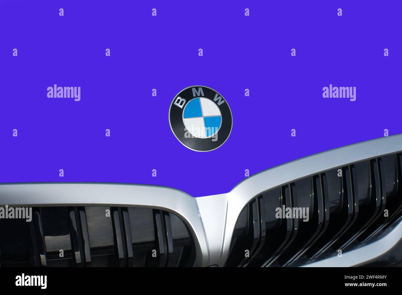 OCALA, FLORIDA - 2 NOVEMBRE 2023 stemma BMW con logo, cofano auto viola intenso. Bavaria Motor Works multinazionale tedesca produttrice di veicoli di lusso Foto Stock