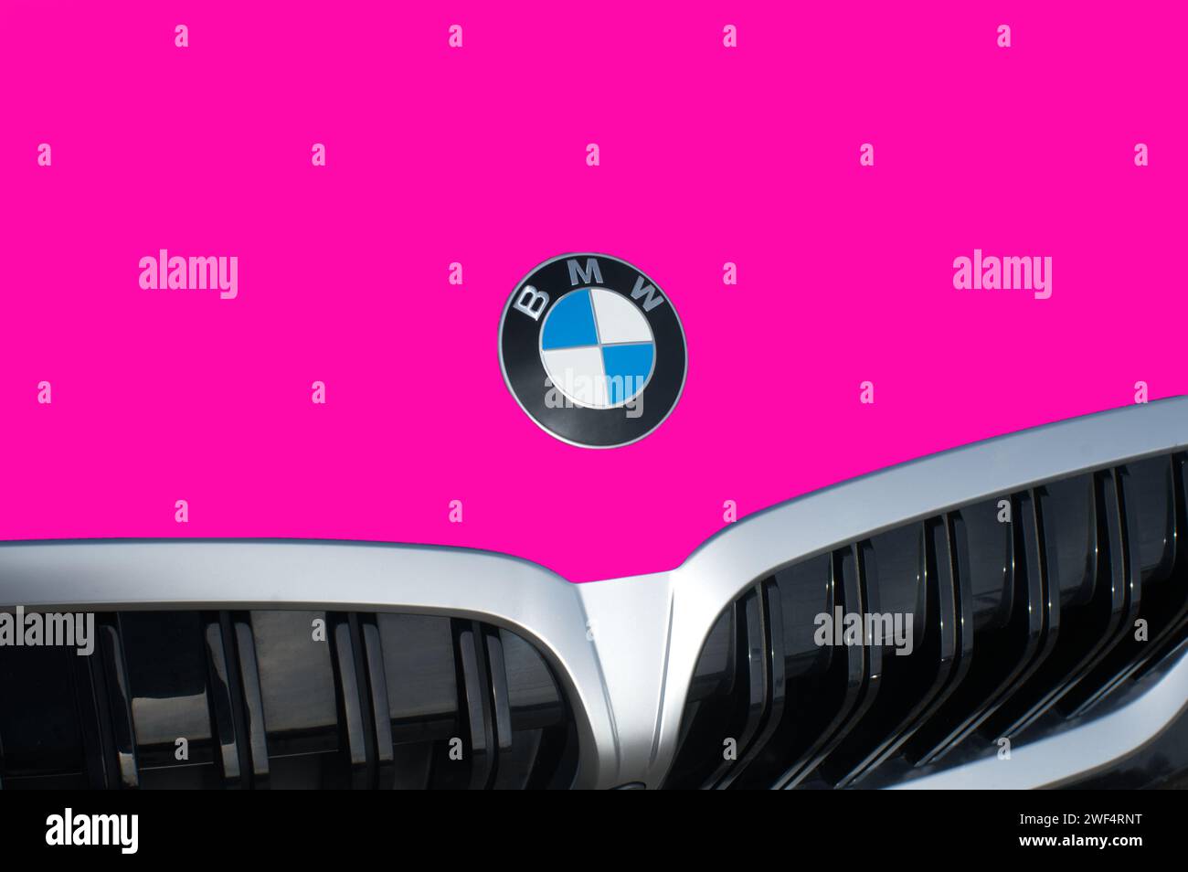 OCALA, FLORIDA - 2 NOVEMBRE 2023 emblema del logo BMW sul cofano auto rosa intenso. Bavaria Motor Works multinazionale tedesca produttrice di veicoli di lusso Foto Stock