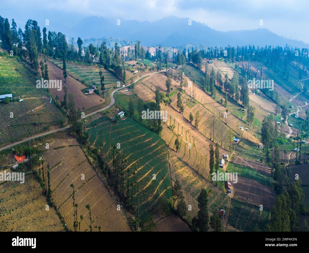 Vista aerea delle fattorie collinari in Indonesia Foto Stock