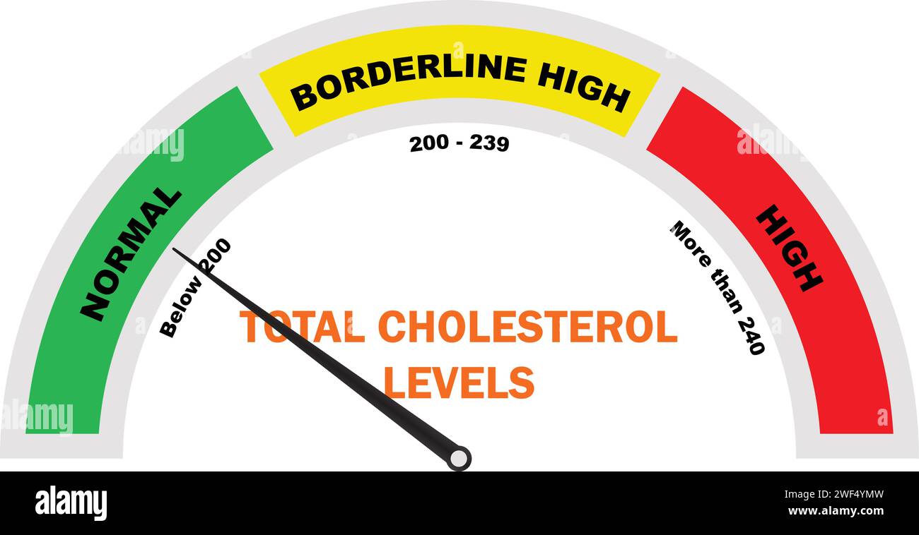 Livelli di colesterolo totale, colesterolo totale, livello di colesterolo, test del colesterolo, icona del misuratore di colesterolo, strumento diagnostico medicale Illustrazione Vettoriale