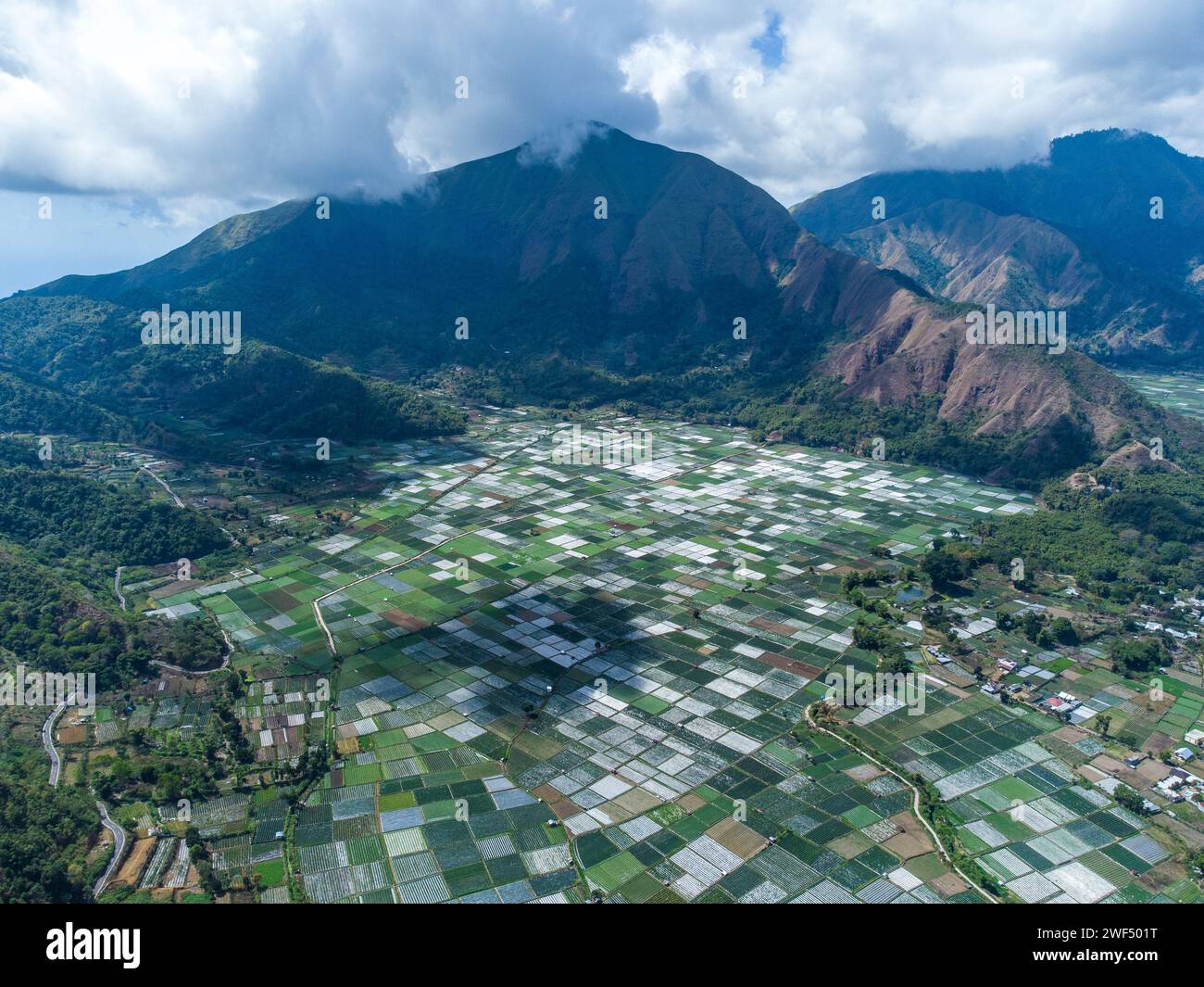 Vista aerea delle aziende agricole di ortaggi in Indonesia Foto Stock