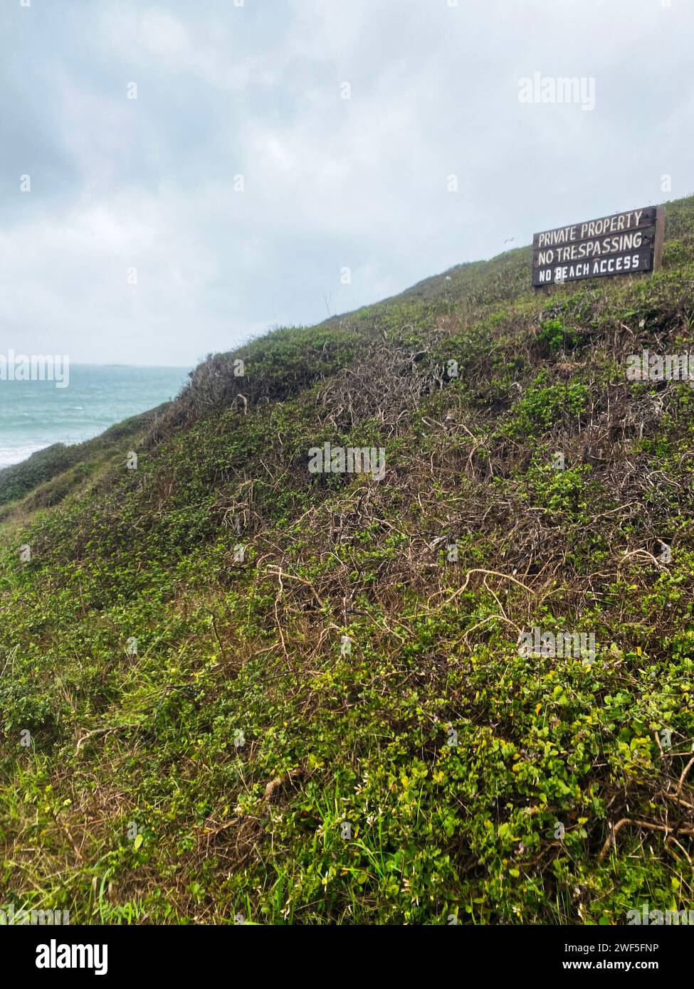 Cartello di legno con la scritta "Private Property - No Trespassing - No Beach Access" su una collina vicino all'oceano Foto Stock