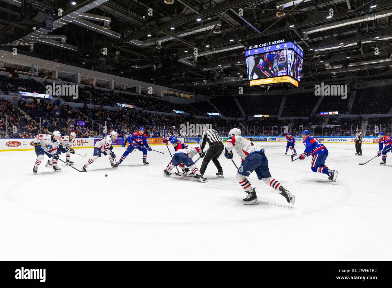 20 gennaio 2024: I giocatori Rochester Americans e Springfield Thunderbirds affrontano nel terzo periodo. I Rochester Americans ospitarono gli Springfield Thunderbirds in una partita della American Hockey League alla Blue Cross Arena di Rochester, New York. (Jonathan Tenca/CSM) Foto Stock