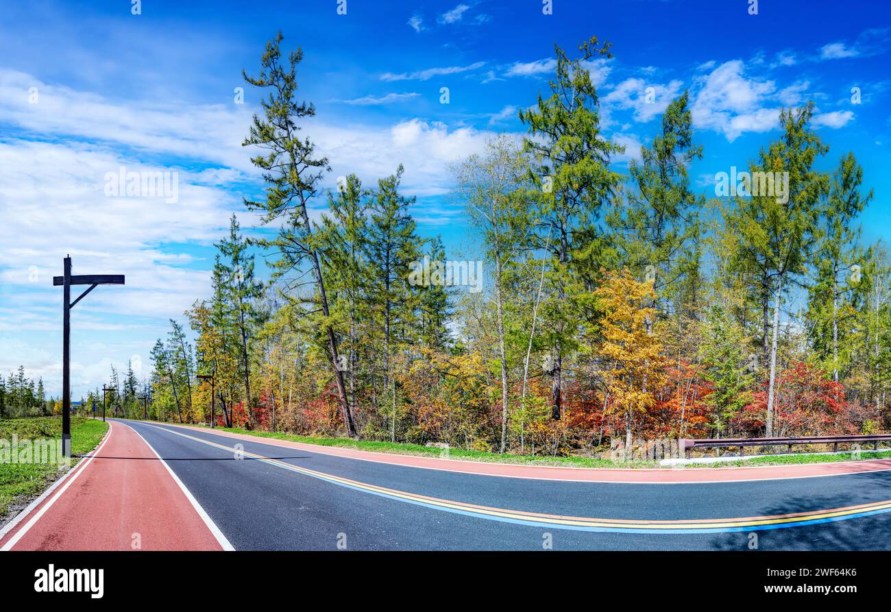 Foresta colorata su un lato dell'autostrada nel Changbai Mountain Luneng Resort, nella Contea di Fusong, nella Prefettura Autonoma coreana Yanbian e nella Provincia di Jilin Foto Stock