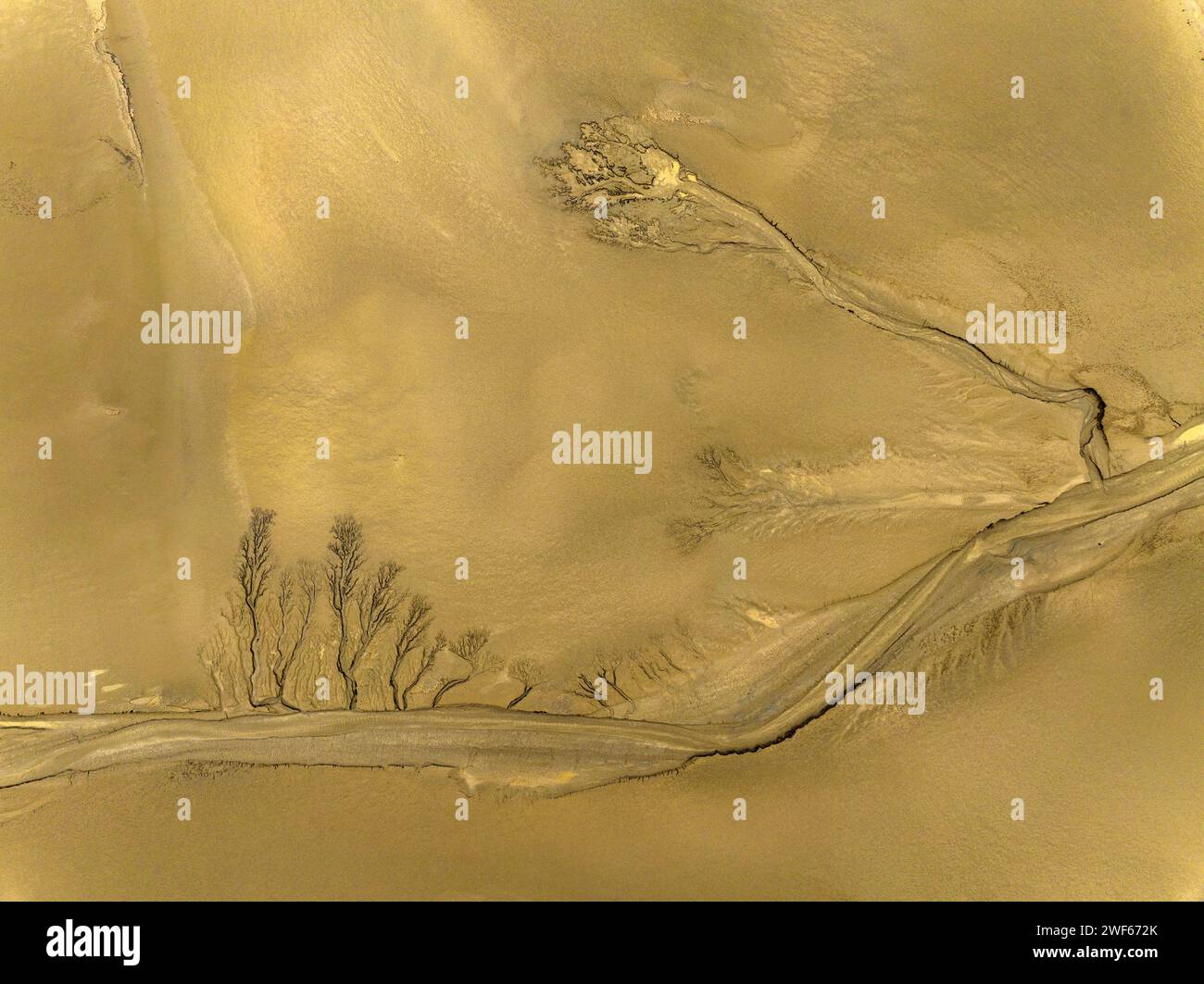 Scenario ecologico della zona umida Dongtai Tiaozini a Yancheng, provincia di Jiangsu Foto Stock