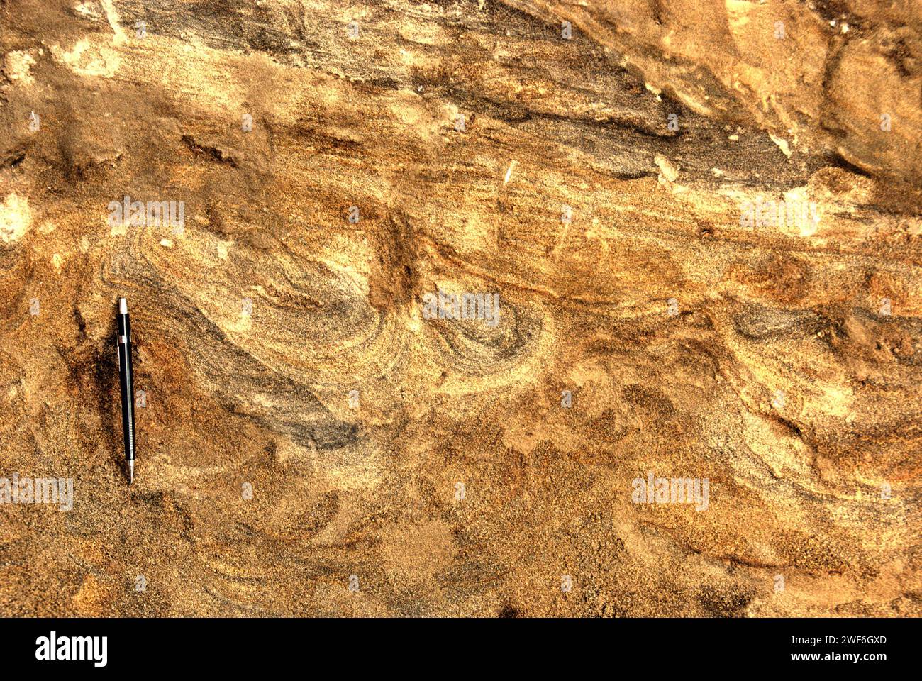 Strati di suolo contenenti informazioni sui processi geologici sono visti nel sito di scavo delle ossa fossilizzate di Elephas hysudrindicus, una specie di elefante estinta vissuta durante il Pleistocene, che è in seguito conosciuto come "elefante Blora", a Sunggun, Mendalem, Kradenan, Blora, Giava centrale, Indonesia. Il team di ricerca sui vertebrati (Agenzia geologica, Ministero indonesiano dell'energia e delle risorse minerarie) guidato dai paleontologi Iwan Kurniawan e Fachroel Aziz ha scoperto le ossa della specie quasi interamente (circa il 90% complete). Foto Stock
