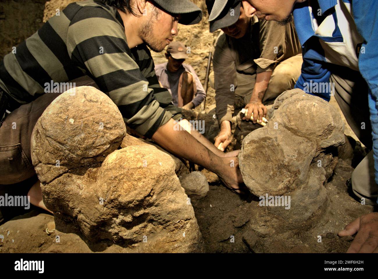 La gente sta lavorando nel sito di scavo di ossa fossili di una specie di elefante estinta scientificamente identificata come Elephas hysudrindicus, o popolarmente chiamata 'elefante Blora', a Sunggun, Mendalem, Kradenan, Blora, Giava centrale, Indonesia. Il team di scienziati della ricerca sui vertebrati (Agenzia geologica, Ministero indonesiano dell'energia e delle risorse minerarie) guidato dai paleontologi Iwan Kurniawan e Fachroel Aziz scoprì le ossa della specie quasi interamente (circa il 90% complete) che in seguito avrebbero permesso loro di costruire una ricostruzione scientifica. Foto Stock