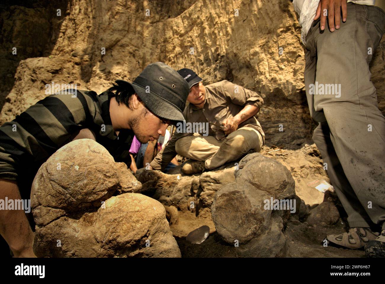 La gente sta lavorando nel sito di scavo di ossa fossili di una specie di elefante estinta scientificamente identificata come Elephas hysudrindicus, o popolarmente chiamata 'elefante Blora', a Sunggun, Mendalem, Kradenan, Blora, Giava centrale, Indonesia. Il team di scienziati della ricerca sui vertebrati (Agenzia geologica, Ministero indonesiano dell'energia e delle risorse minerarie) guidato dai paleontologi Iwan Kurniawan e Fachroel Aziz scoprì le ossa della specie quasi interamente (circa il 90% complete) che in seguito avrebbero permesso loro di costruire una ricostruzione scientifica. Foto Stock