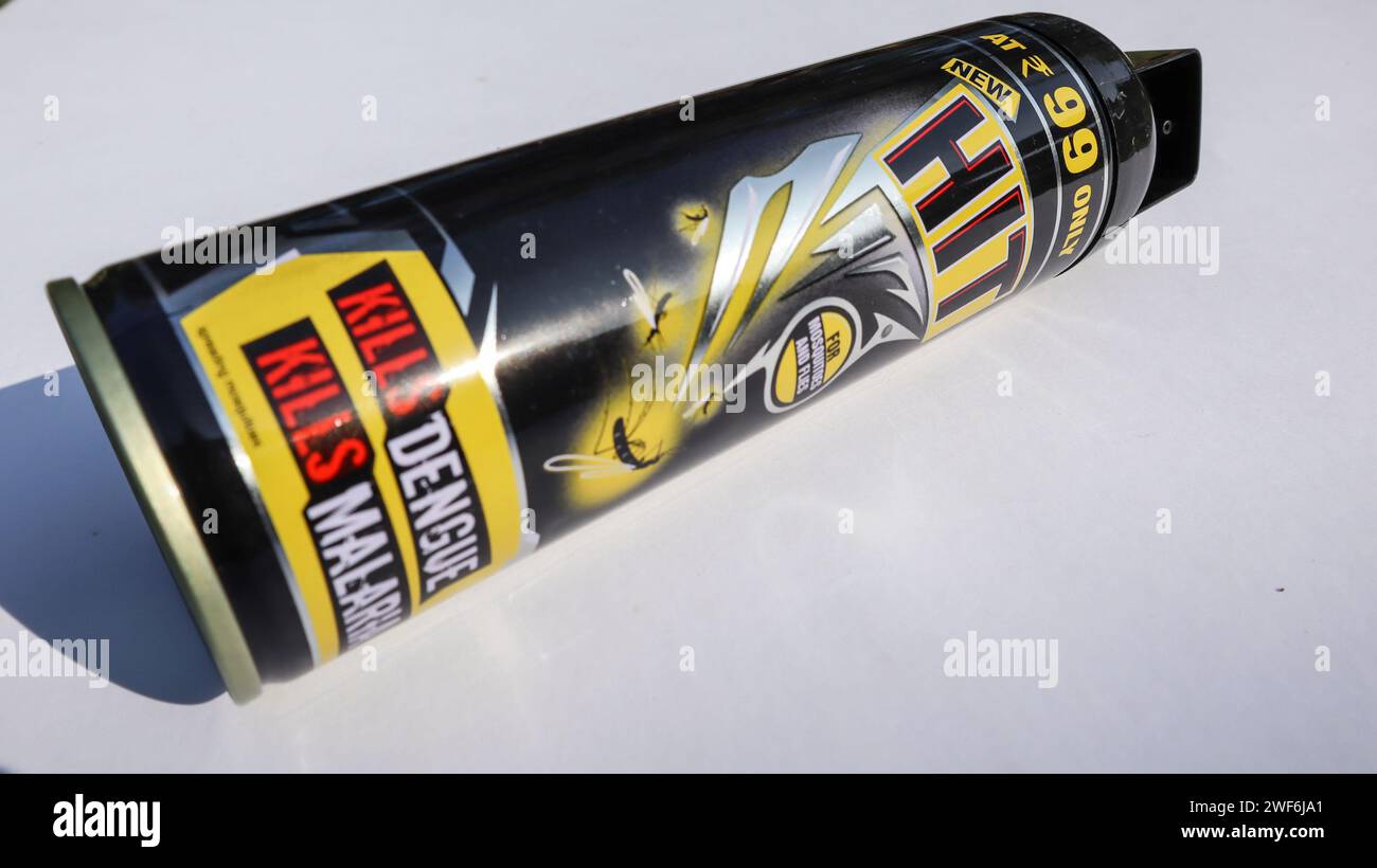 Hit brand, repellente per zanzare e fly e killer per zanzare nuovo contenitore spray nero Foto Stock