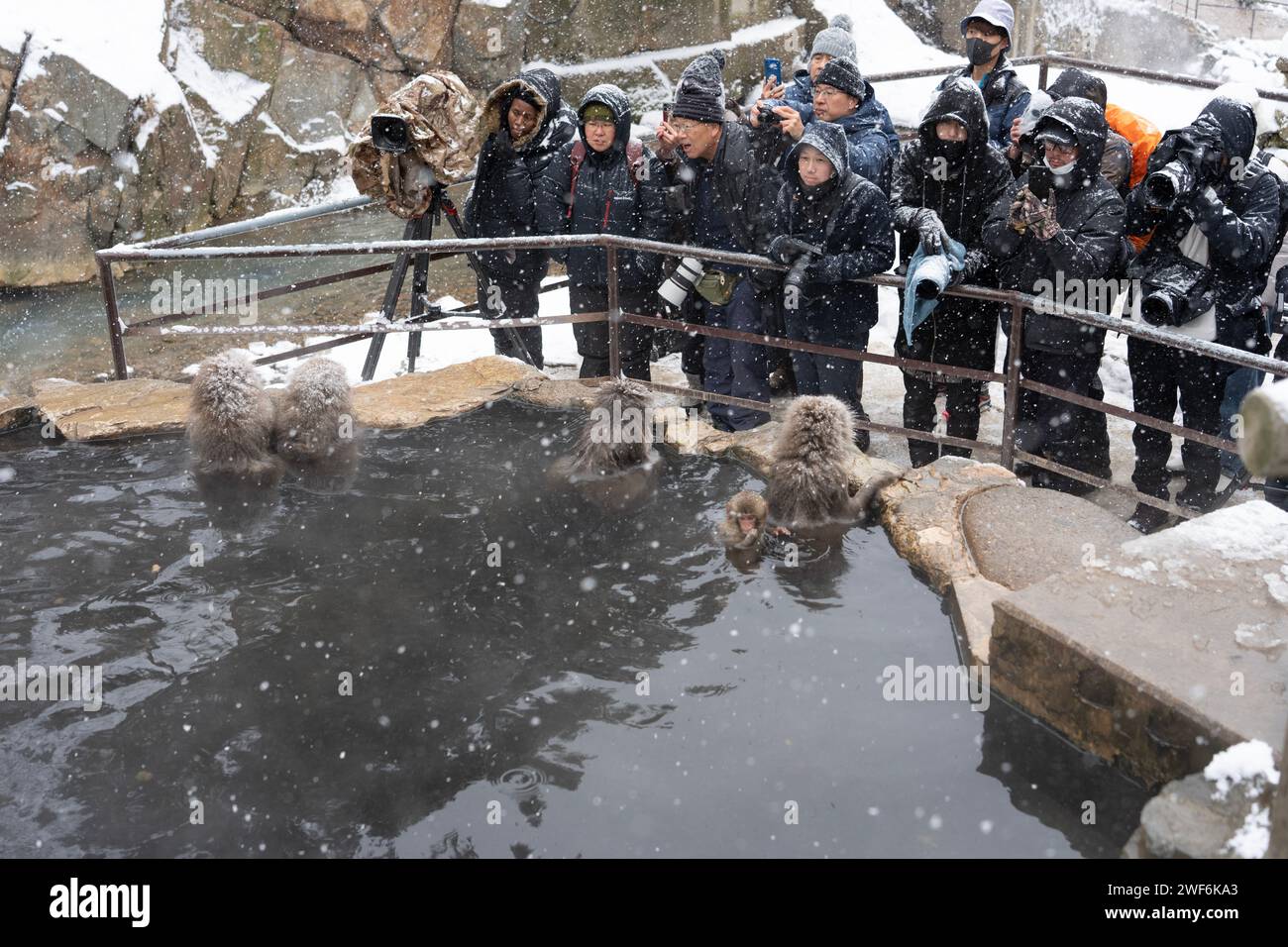 Fotografi in nevicata che scattano scimmie allo Snow Monkey Park di Nagano, Giappone Foto Stock