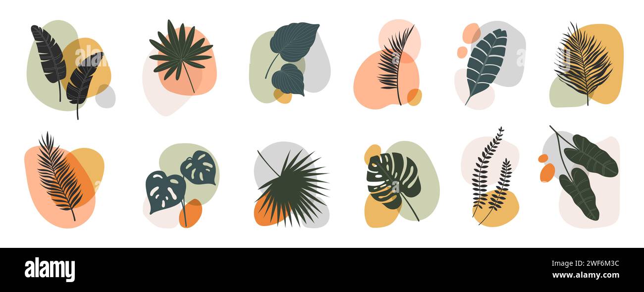 Forme astratte di foglie di boho e piante, caratterizzate da un fogliame tropicale di palme e fiori esotici con macchie colorate in tonalità naturali, arazzi della natura, che si fondono senza sforzo con l'estetica bohémien Illustrazione Vettoriale