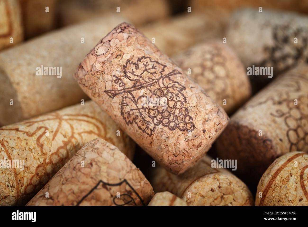 Sughero di vino con un motivo di grappolo d'uva. Fotografia macro con profondità di campo ridotta. Foto Stock