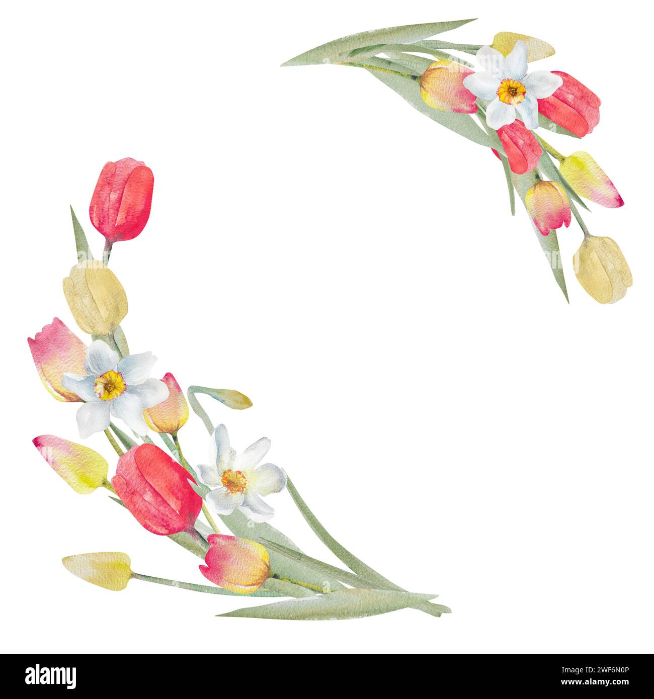 Cartolina con tulipani e narcisi ad acquerello. Design primaverile per San Valentino, 8 marzo, festa della mamma, Pasqua. Foto Stock