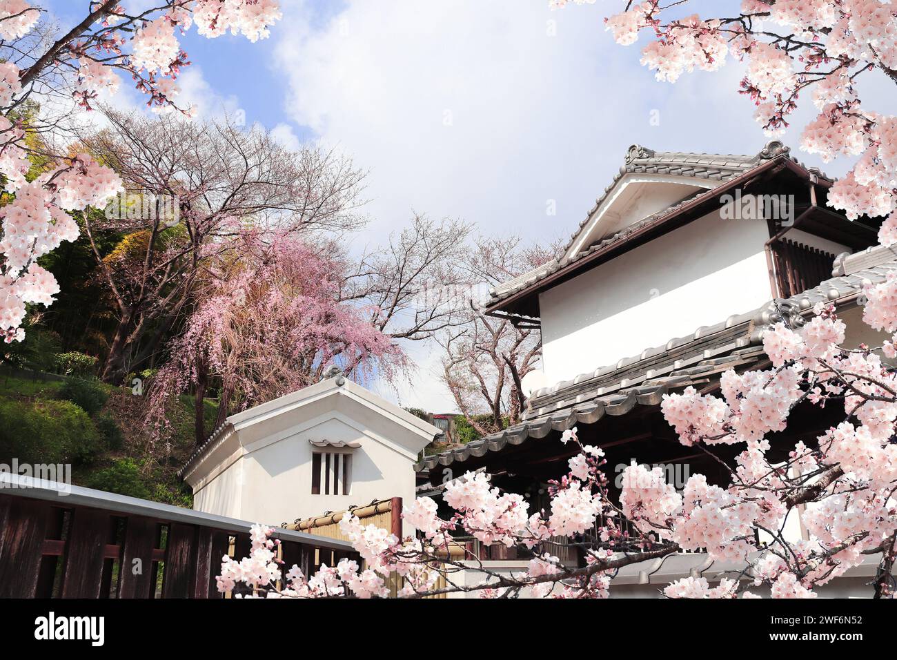 Vecchie case e fiori sakura, città di Kurashiki, Giappone. Tradizionale festival di hanami giapponese. Stagione primaverile della fioritura dei ciliegi in Asia Foto Stock