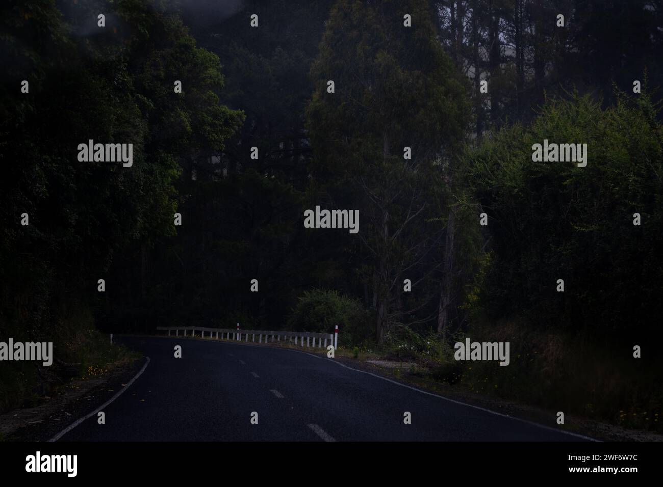 Dark Road in nuova Zelanda Foto Stock