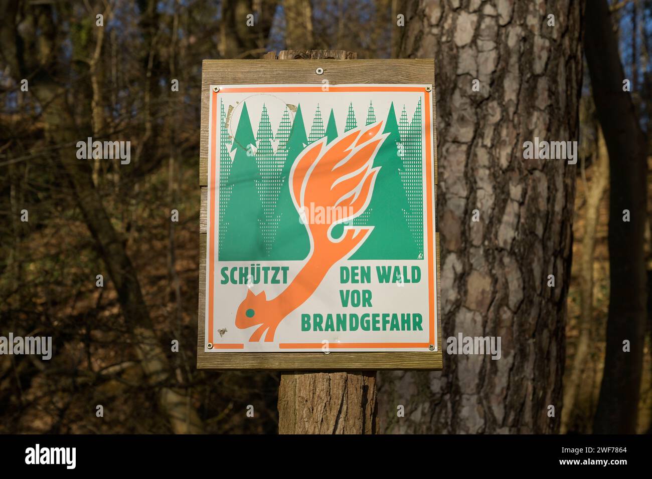 Warnschild, Waldbrand, Sacrow, Potsdam, Brandeburgo, Deutschland Warnschild, Waldbrand, Sacrow, Potsdam, Brandeburgo, Deutschland *** segnale di avvertimento, incendio forestale, Sacrow, Potsdam, Brandeburgo, cartello di avvertimento Germania, incendio forestale, Sacrow, Potsdam, Brandeburgo, Germania Foto Stock