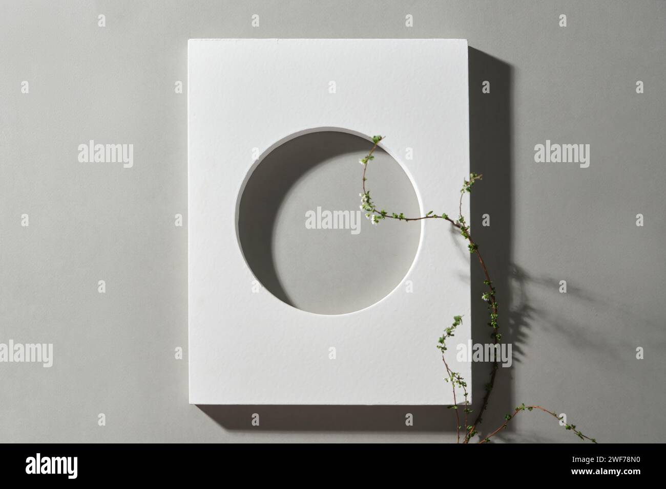 Scena minimalista per vetrina prodotti, podio vuoto, fiori di rametto e ombra su sfondo grigio. Foto Stock