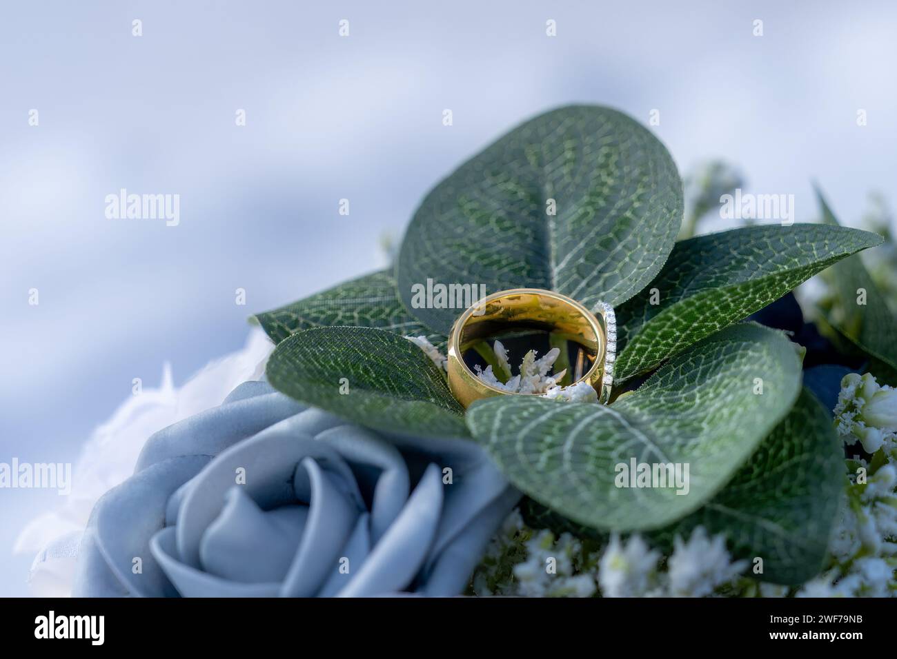 Un paio di fedi nuziali, uno in oro e uno ricoperto di diamanti, elegantemente collocati all'interno dell'abbraccio naturale di una rosa blu e di una lussureggiante fogliame Foto Stock