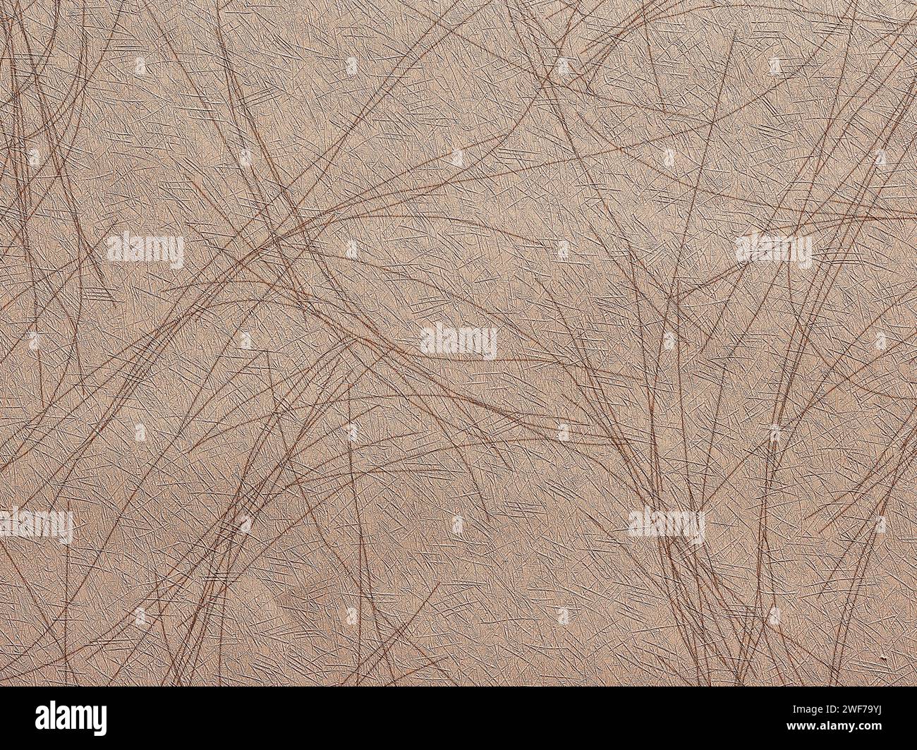 Sfondo beige astratto o marrone chiaro o sfondo con sottili linee decorative. Sfondo con spazio di copia per la progettazione. Foto Stock