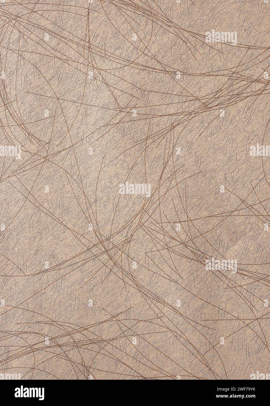 Sfondo beige astratto o sfondo con linee sottili decorative. Sfondo con spazio di copia per la progettazione. Foto Stock