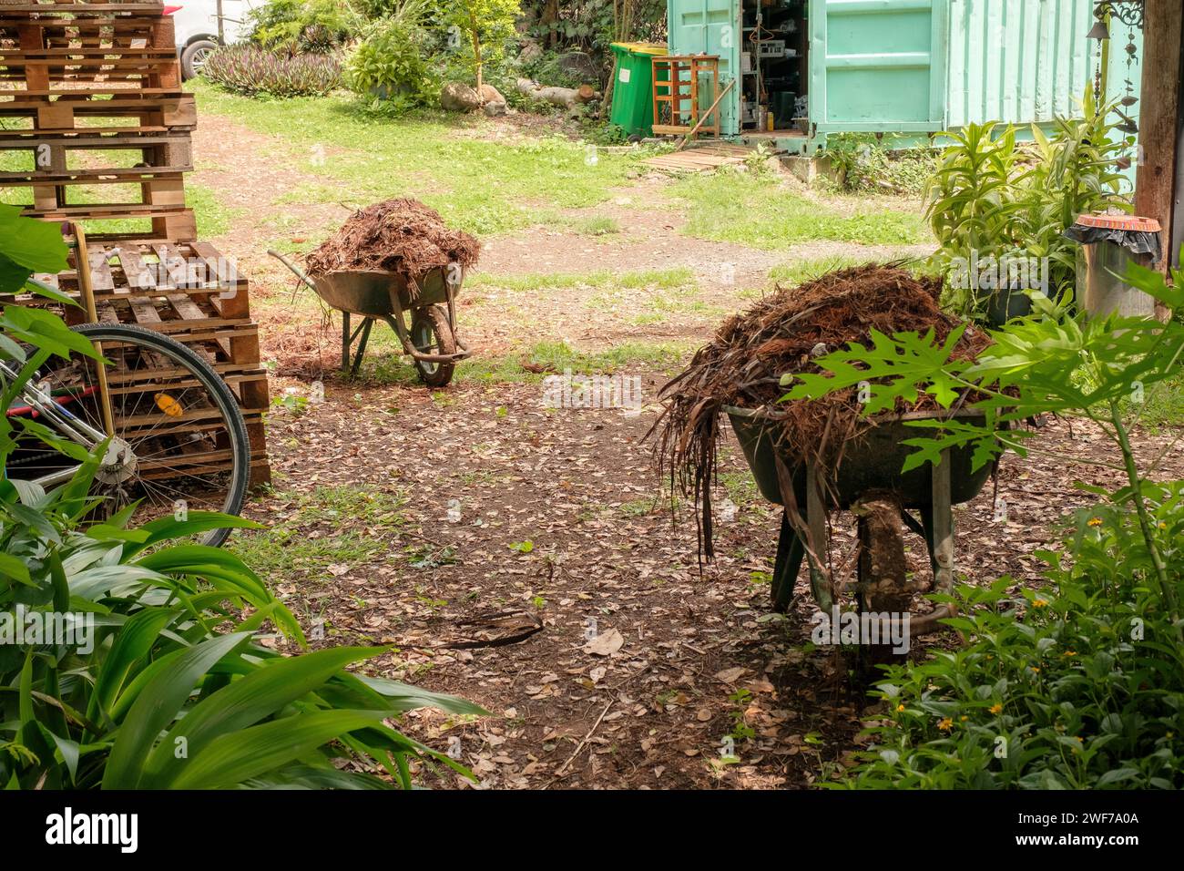 Giardino rustico con carriole ricoperte di troppa e creature ricoperte Foto Stock Giardino rustico con carriole ricoperte di troppa e creature ricoperte Foto Stock