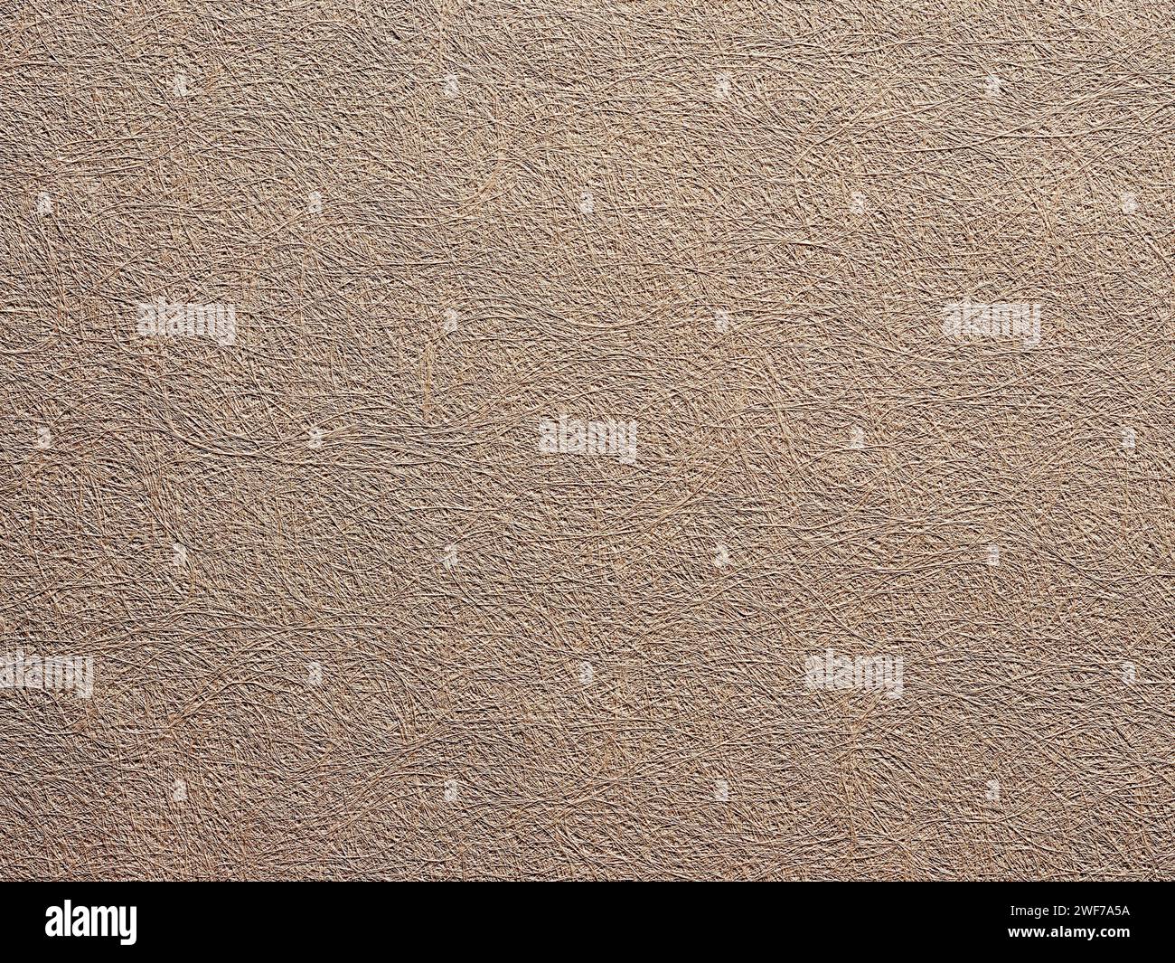 Sfondo o sfondo bianco beige ruvido astratto. Sfondo con spazio di copia per la progettazione. Foto Stock