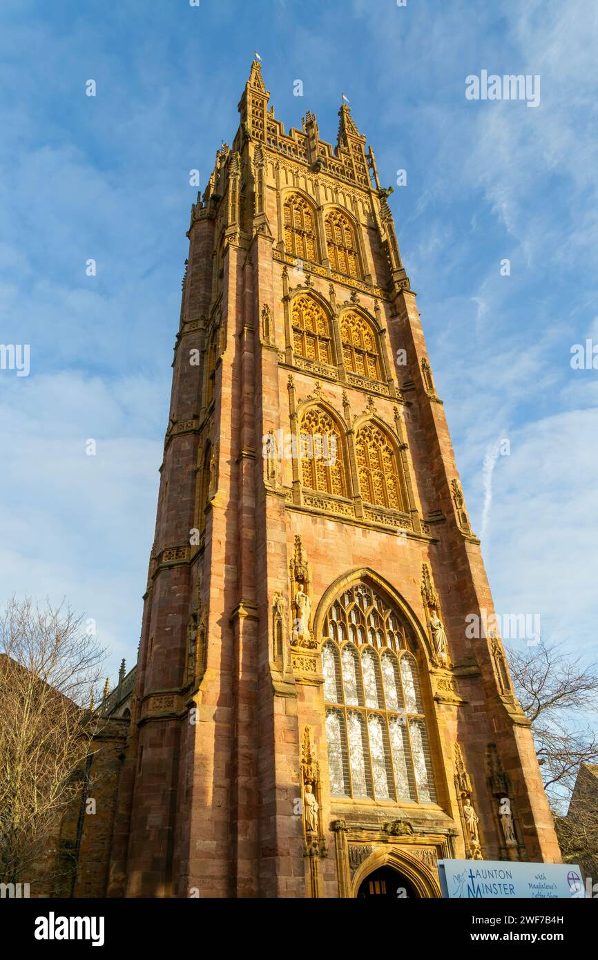 Golden Afternoon Winter Sunshine, torre della chiesa di Santa Maddalena, Taunton, Somerset, Inghilterra, Regno Unito Foto Stock