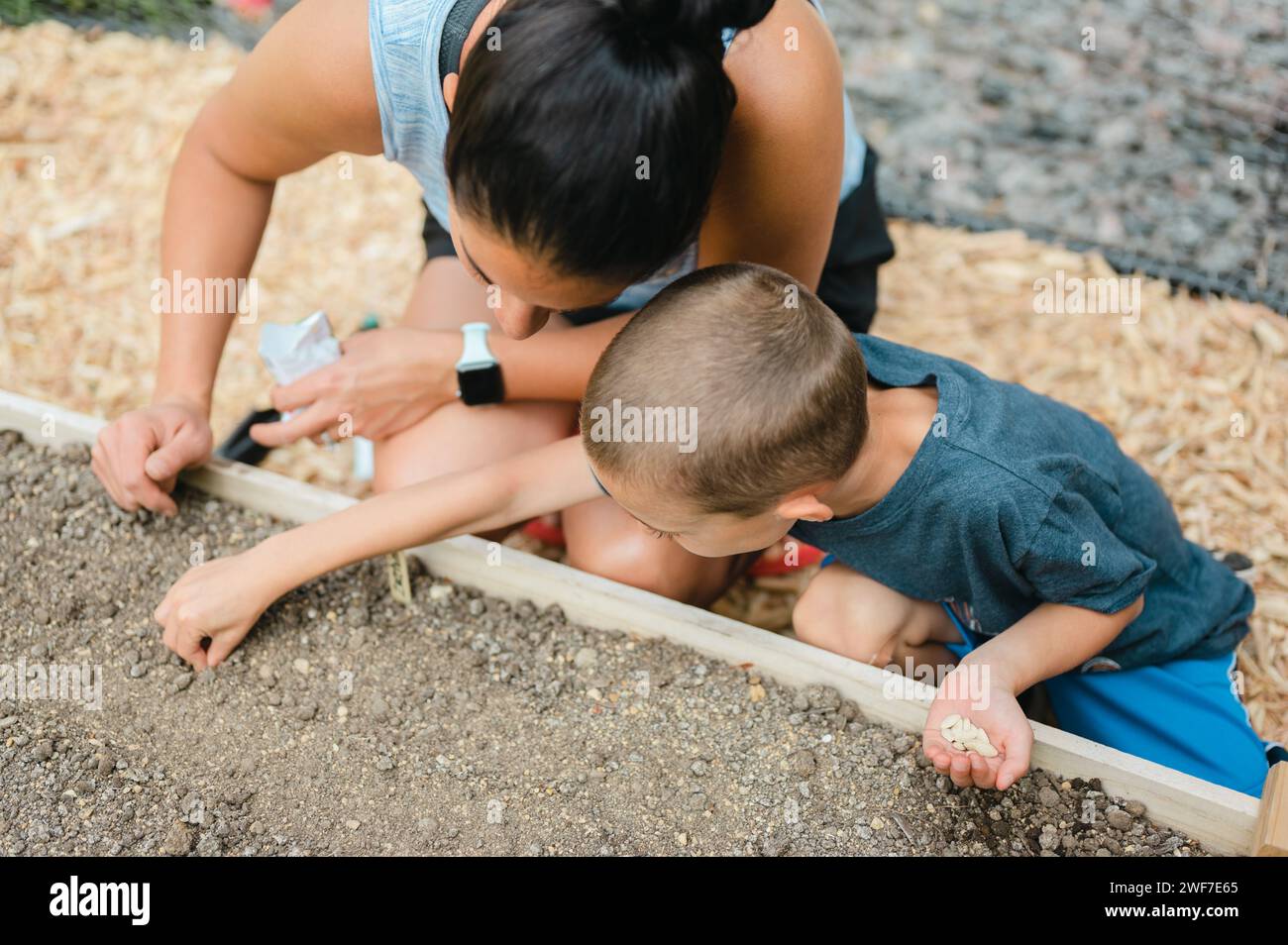 Angolo alto di mamma e bambino che piantano insieme i semi in giardino Foto Stock