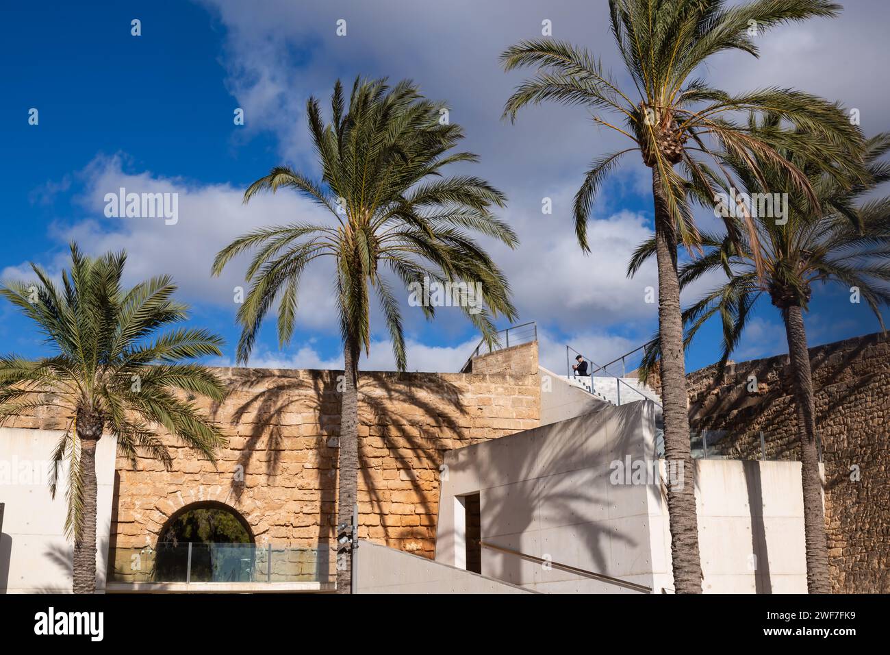 2 dicembre 2023-esterno di es Baluard, Museo d'arte moderna e contemporanea di Palma Foto Stock