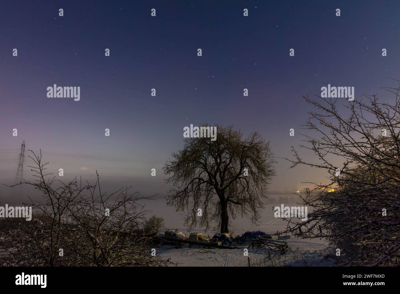 Lone Tree in una notte d'inverno con cielo pieno di stelle. Contea di Durham, Inghilterra, Regno Unito. Foto Stock