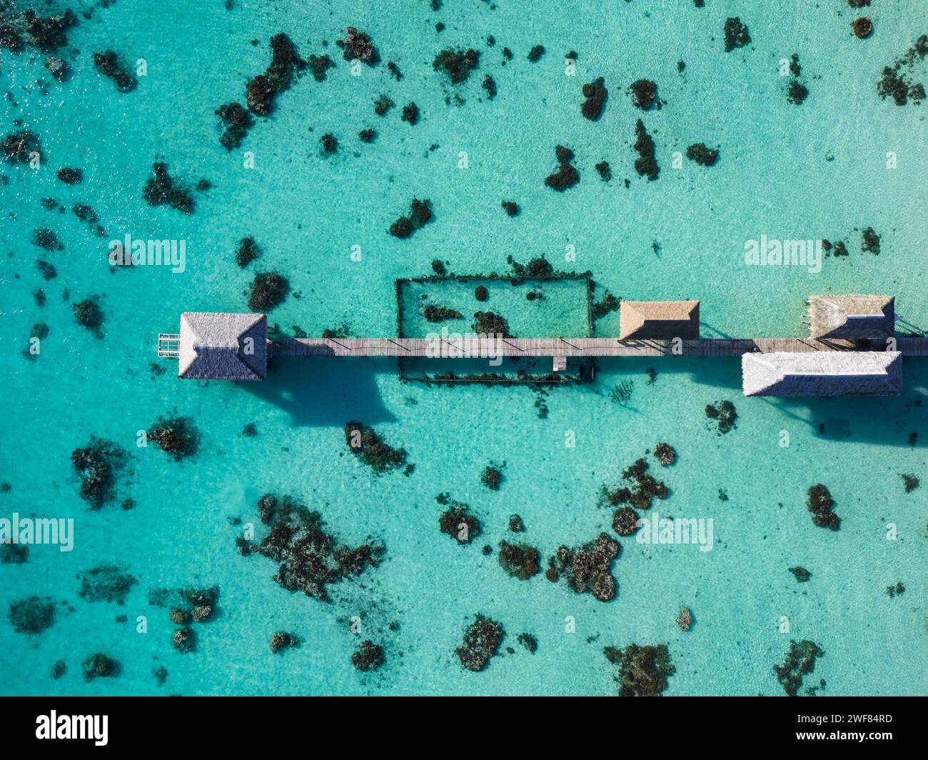 Foto con drone del molo sulla laguna di Fakarava con fattoria di perle e barca. Polinesia francese Foto Stock
