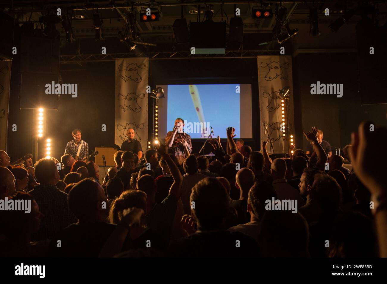 I tappeti Inspiral suonano Saturn 5 al loro ritorno di Manchester alla Band on the Wall il 7 giugno 2014 Foto Stock