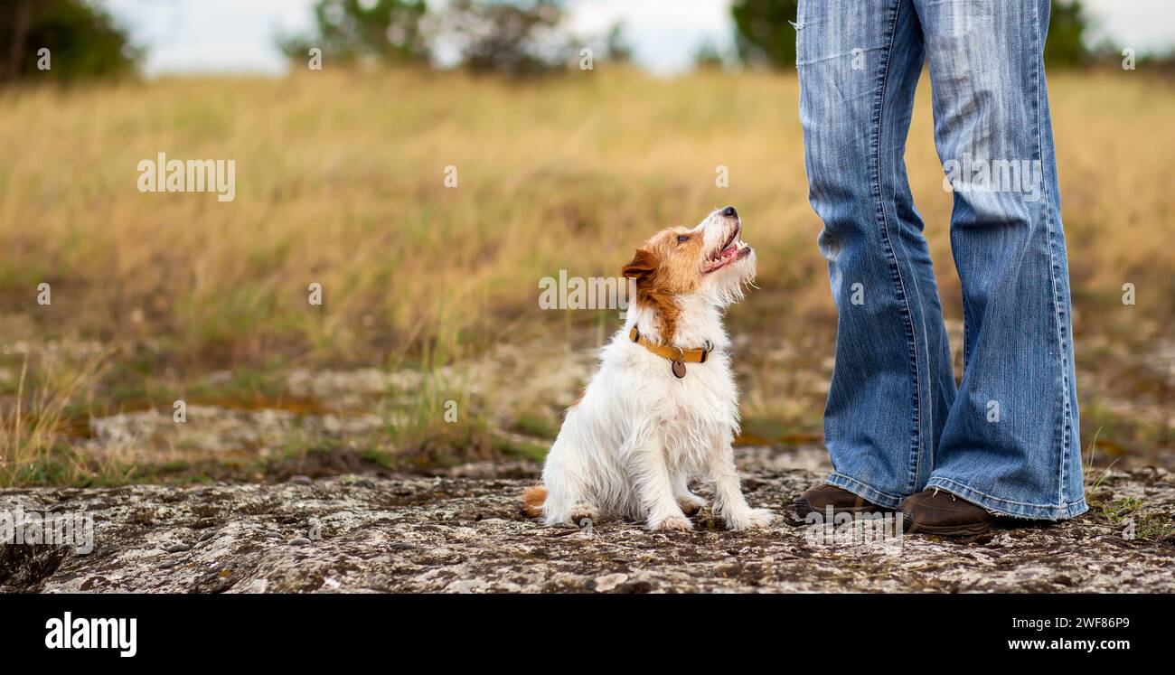 Un cucciolo di cane felice e obbediente seduto e guardando il proprietario del suo allenatore. Banner di formazione sull'obbedienza degli animali domestici. Foto Stock