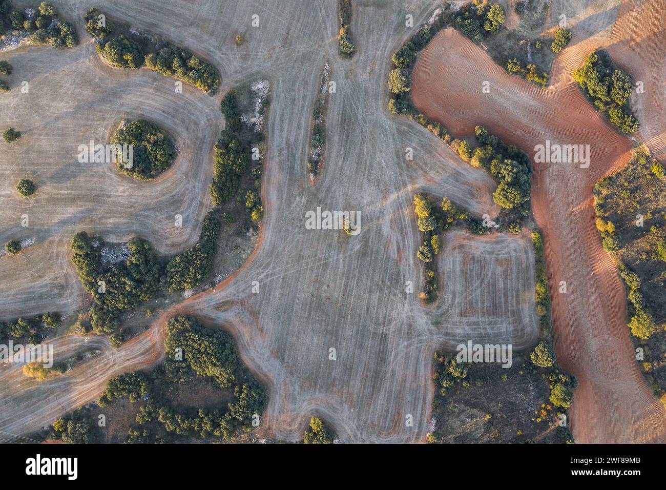Vista aerea dall'alto di un mosaico di campi agricoli di vari colori e consistenze, intrecciato con tracce sterrate e piccoli gruppi di alberi Foto Stock