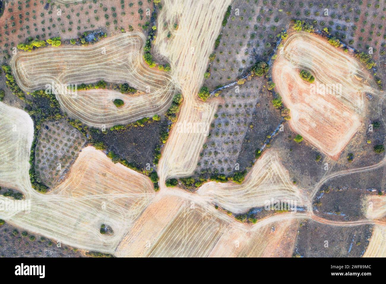 Vista aerea dall'alto di un mosaico di campi agricoli di vari colori e consistenze, intrecciato con tracce sterrate e piccoli gruppi di alberi Foto Stock