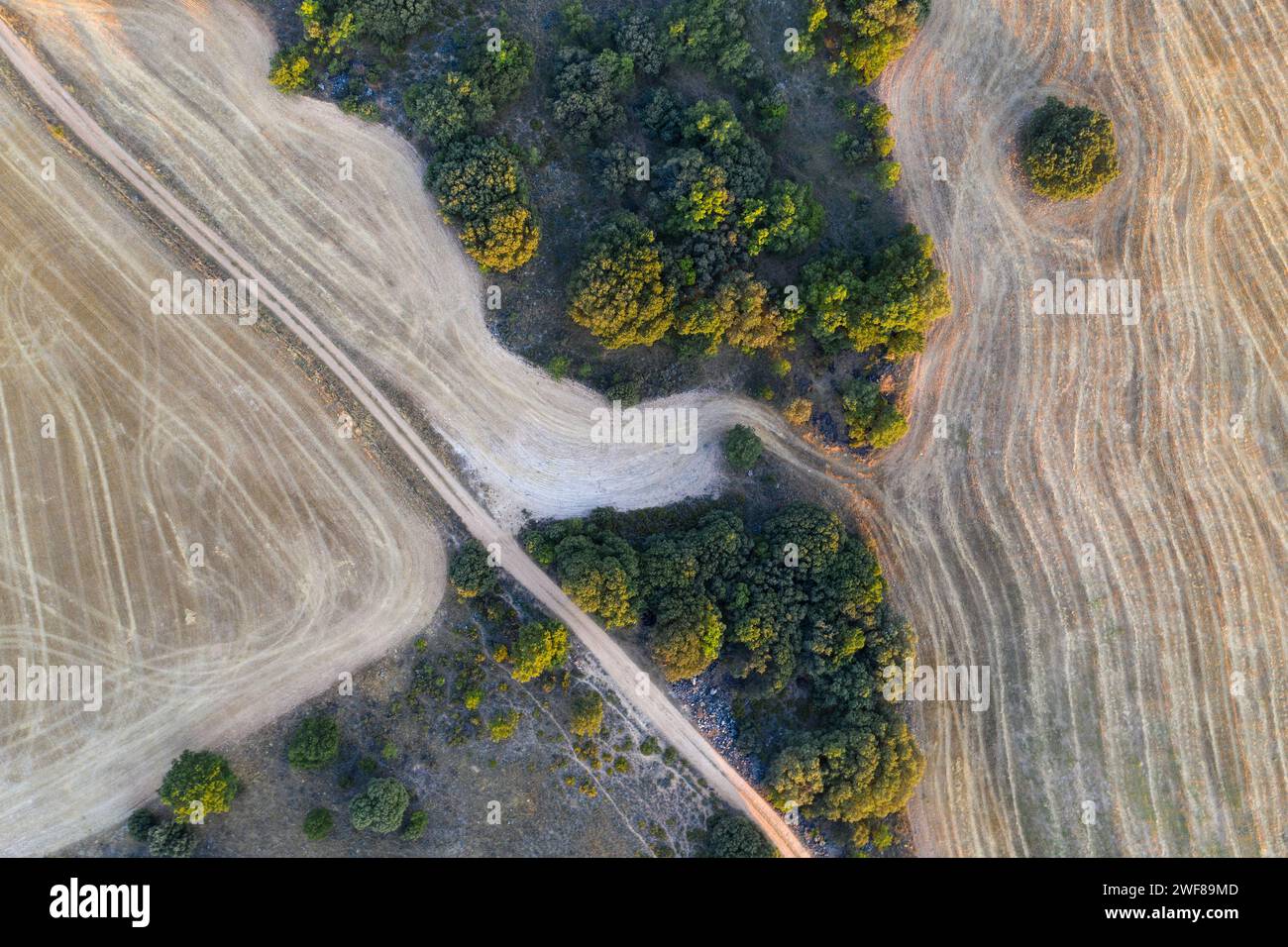 Dall'alto è possibile catturare gli intricati schemi di campi arati intervallati da vegetazione naturale, che assomigliano a un dipinto astratto con ricca te Foto Stock