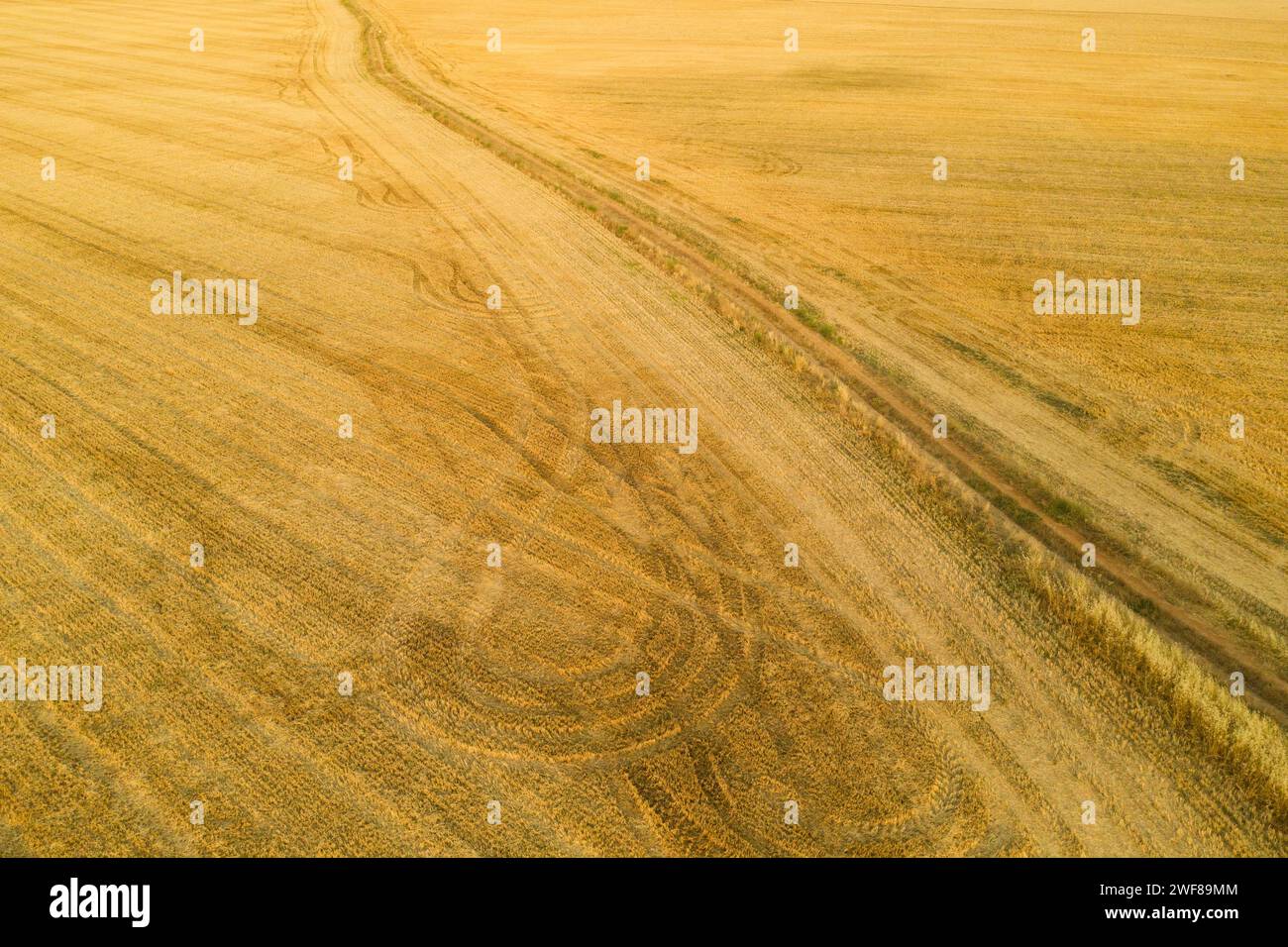 Vista aerea dall'alto dei terreni agricoli con segni di trattore incrociati che creano un ricco arazzo di linee e trame in una calda tavolozza Foto Stock