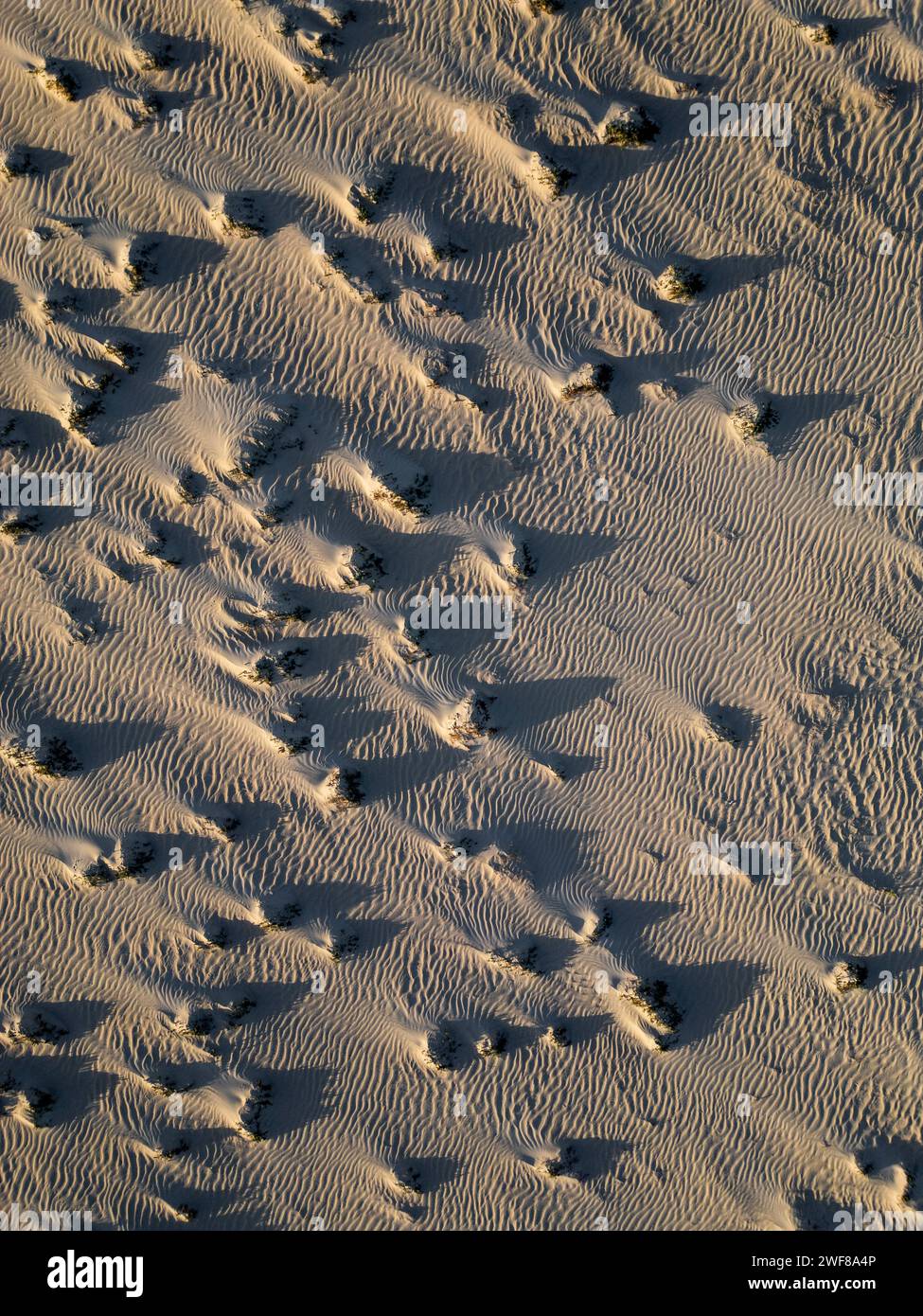 Vista dall'alto che cattura i motivi testurizzati delle dune di Corralejo nella luce soffusa di Fuerteventura Foto Stock