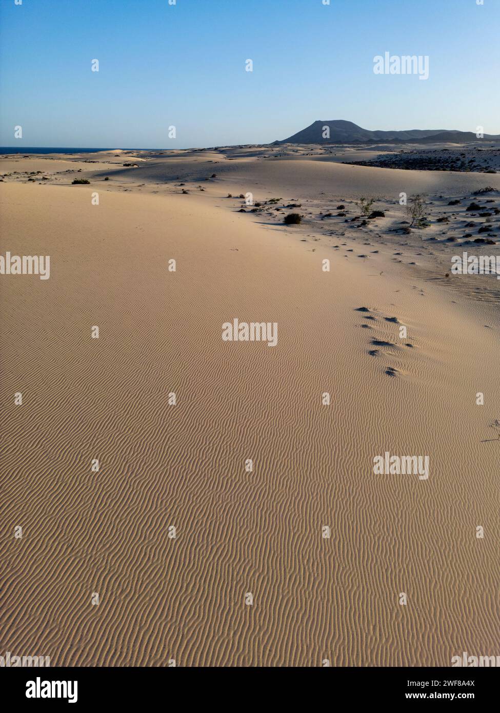 La luce dell'ora d'oro si getta sulla spiaggia sabbiosa con formazioni rocciose presso le dune di Corralejo, affacciate sul mare di Fuerteventura Foto Stock