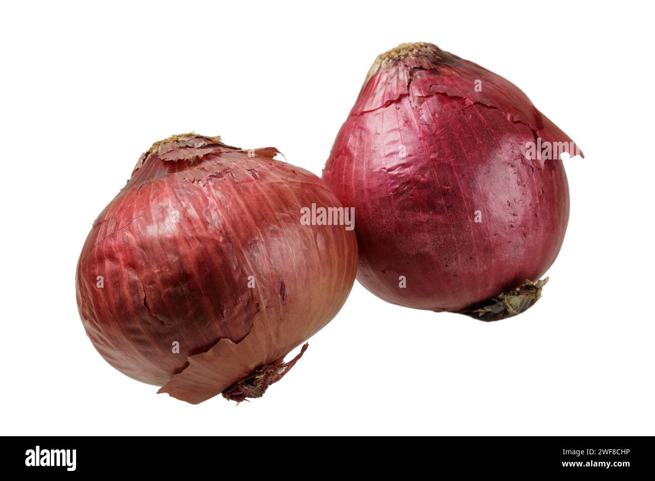 Primo piano di delicicus cipolle rosse non sbucciate isolate su uno sfondo bianco con spazio per la copia Foto Stock