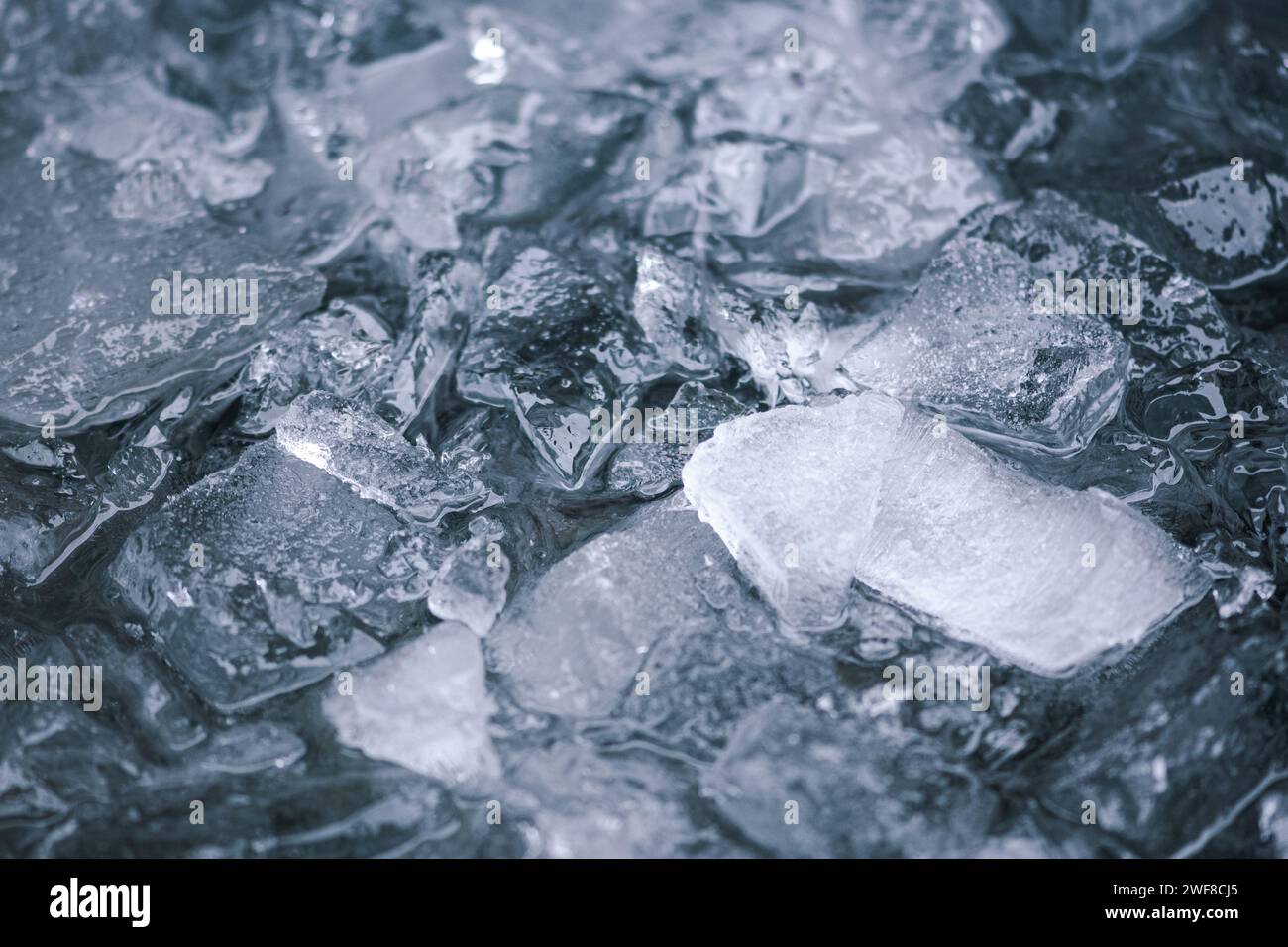 Acqua fredda e cubetti di ghiaccio fondali che si fondono. Concetto di riscaldamento globale o cambiamento climatico. Terapia fredda, tecniche respiratorie, metodo Wim Hof, meditazione Foto Stock