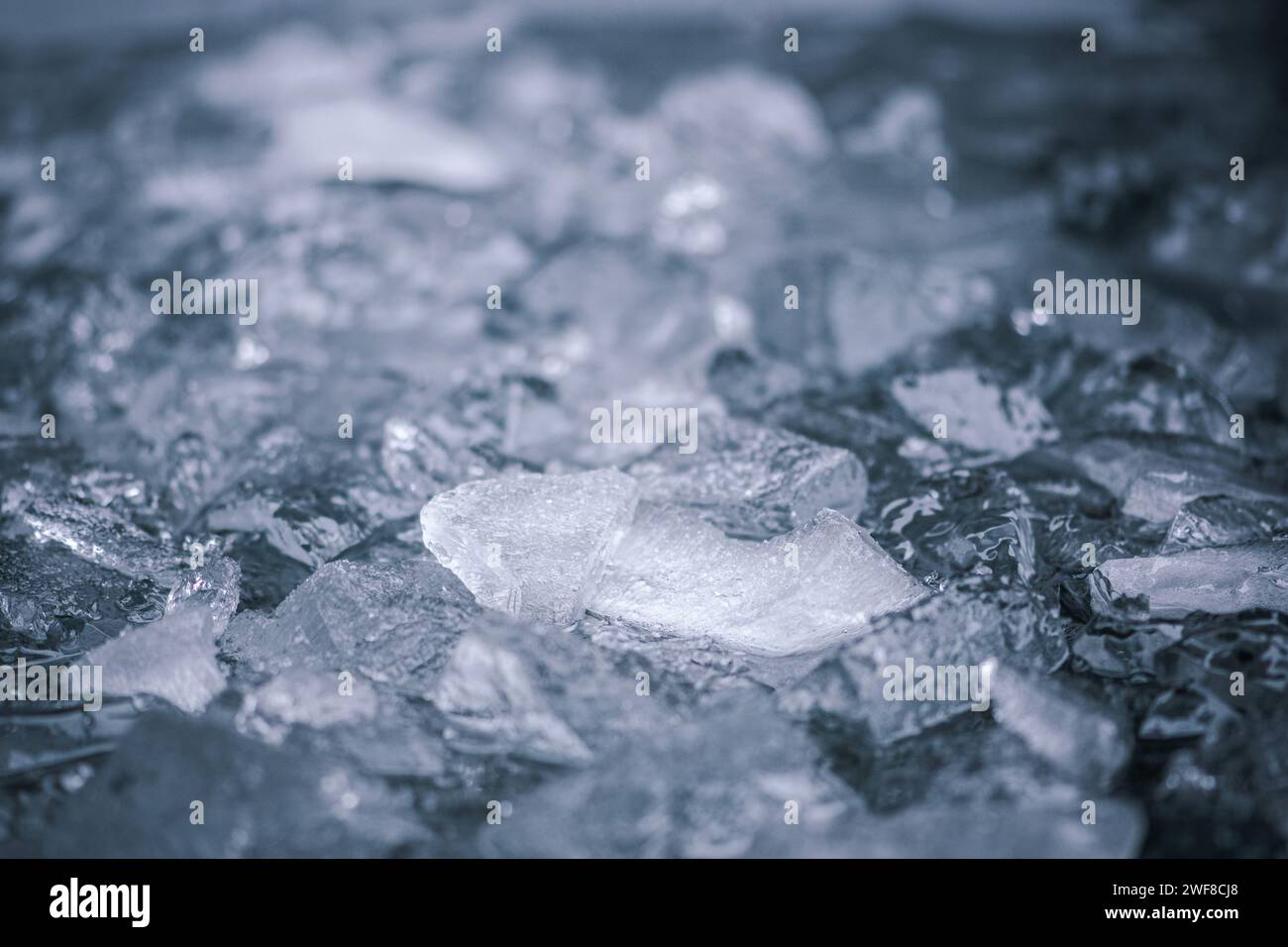 Acqua fredda e cubetti di ghiaccio fondali che si fondono. Concetto di riscaldamento globale o cambiamento climatico. Terapia fredda, tecniche respiratorie, metodo Wim Hof, meditazione Foto Stock