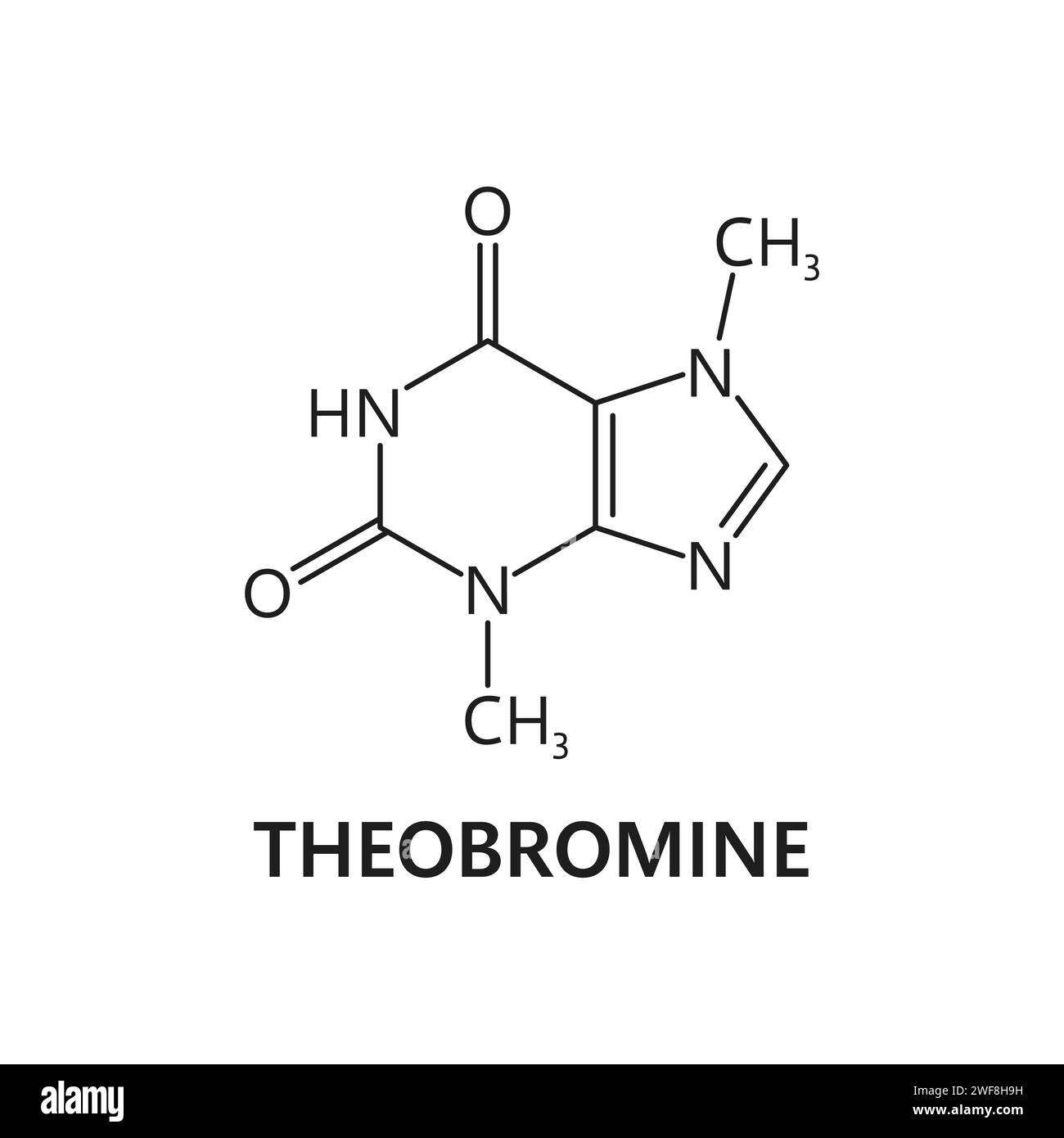 Teobromina, formula molecolare chimica di cioccolato e struttura molecolare, icona vettoriale. Alcaloide di teobromina xantosi nella struttura del legame molecolare e nella connessione atomica per biosintesi o farmacologia Illustrazione Vettoriale