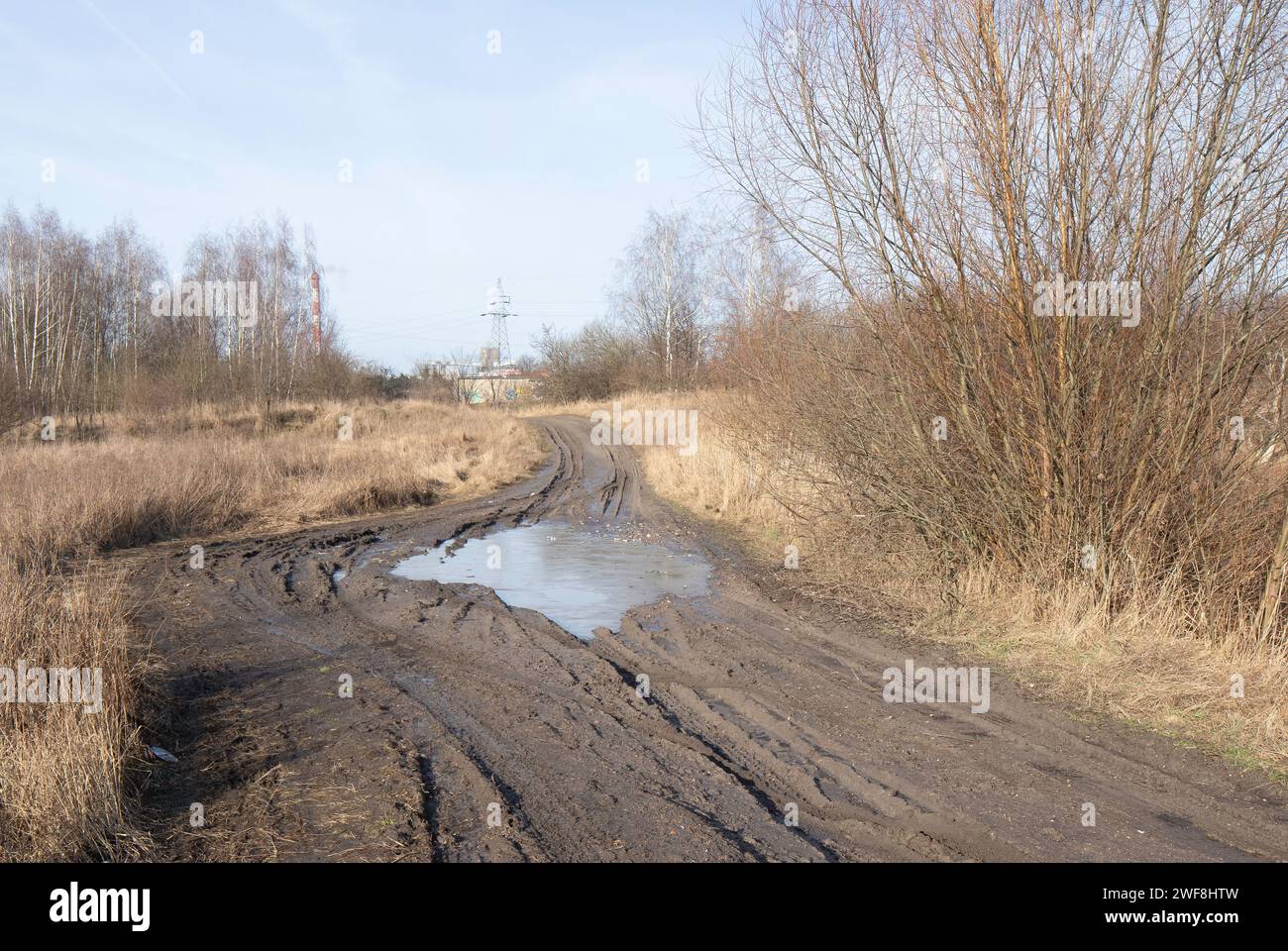 Gelo, fogli di ghiaccio su una strada fangosa, erba ricoperta di ghiaccio, fango, pozzanghere ricoperte di ghiaccio. Foto Stock
