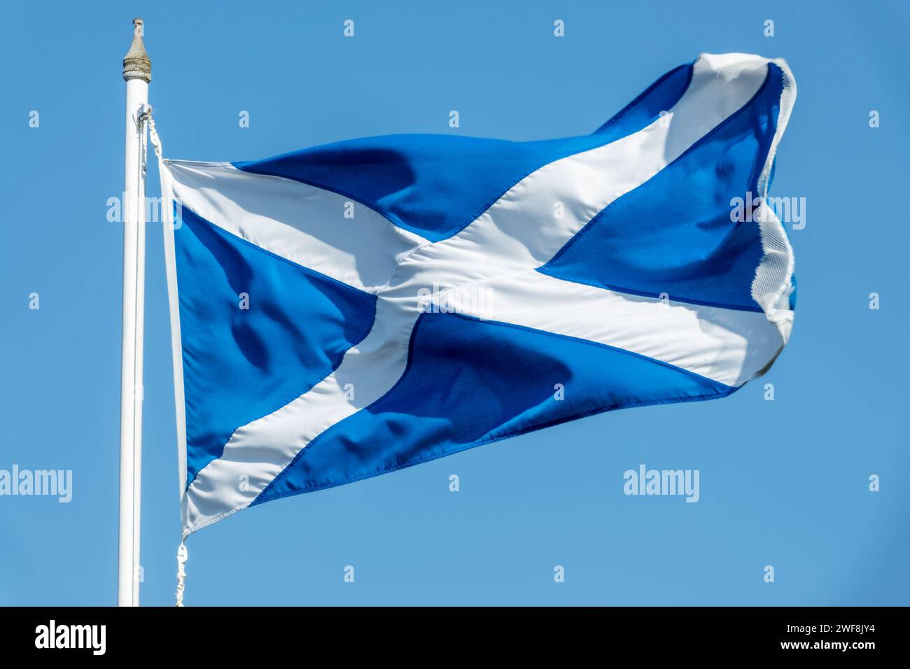 Bandiera scozzese (bandiera di Saint Andrews) su un palo che sventola su sfondo blu Foto Stock