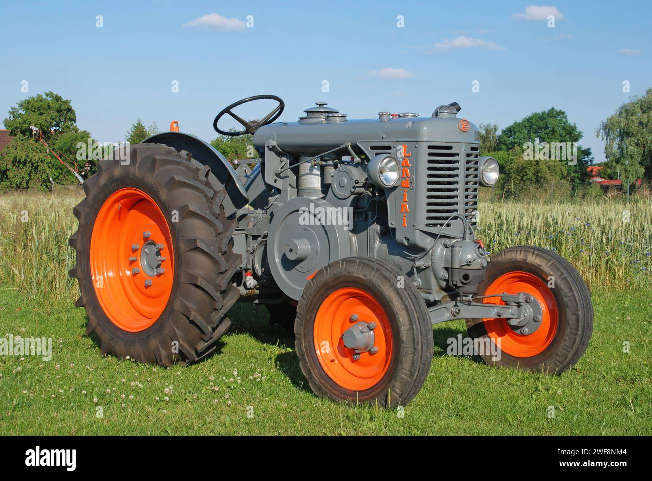 29.06.2009 Landini L 25 Deutschland/ Sachsen Anhalt/ Altmark/ Altmarkkreis Salzwedel/ Darnebeck/ Traktor/ Trecker/ Schlepper/ Landini L25/ Baujahr 1950-1960/ 1 Zylinderglühkopfmotor/ 25 PS/ Hubraum 4312 ccm *** 29 06 2009 Landini L 25 Germania Sassonia Anhalt Altmark Altmarkkreis Salzwedel Darnebeck Tractor trattore Landini L25 anno di costruzione 1950 1960 1 cilindro con testa a incandescenza motore 25 cv cilindrata 4312 ccm Foto Stock